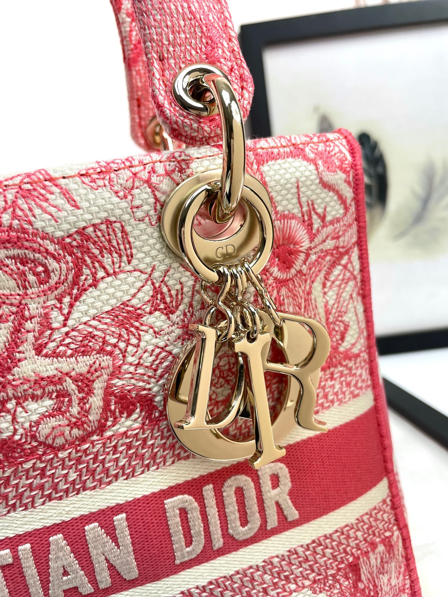 Dior Pink Toile de Jouy Embroidered Top Handle Shoulder Bag