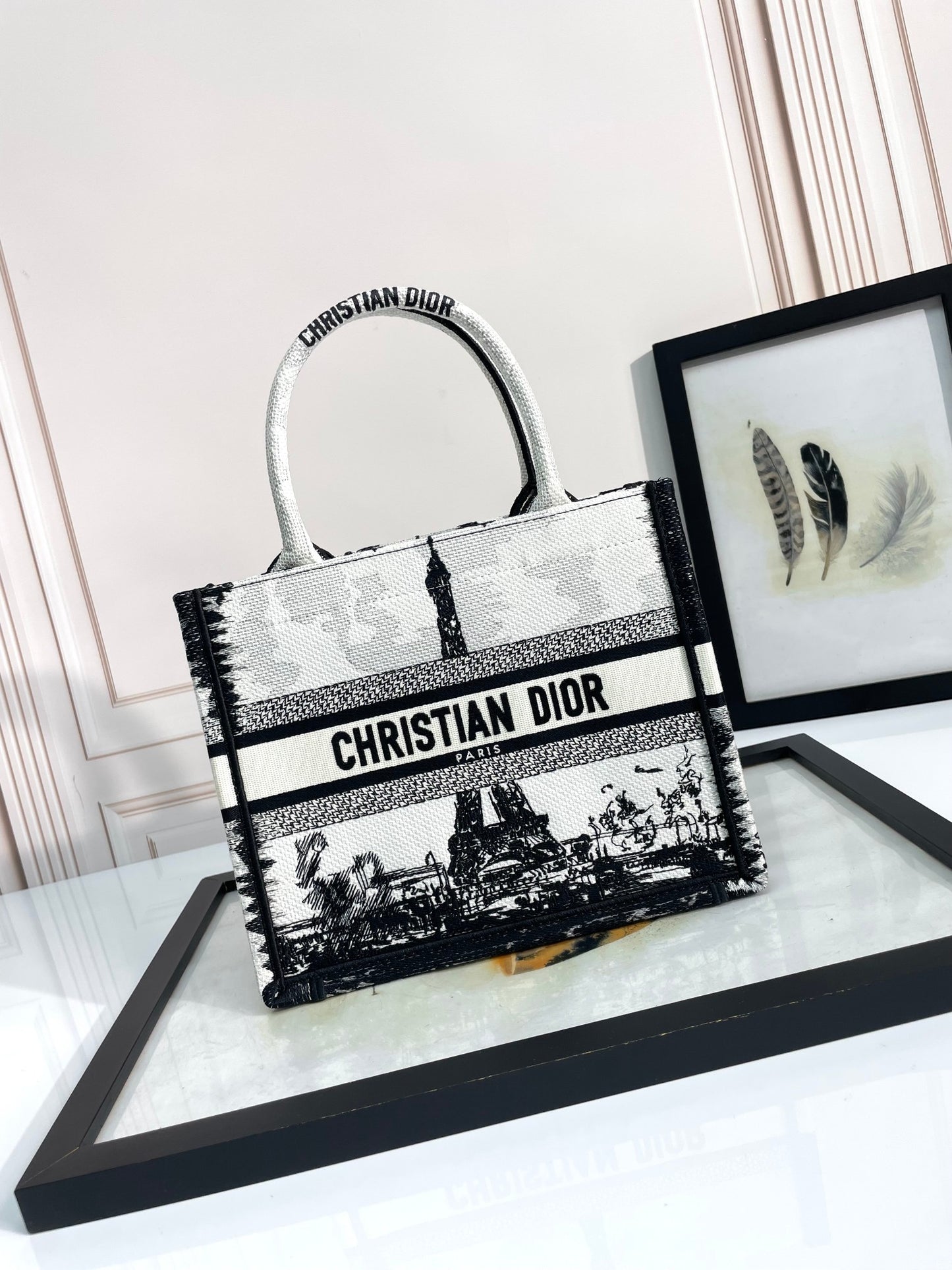 Christian Dior Medium Book Tote Paris Motif Black and White Canvas