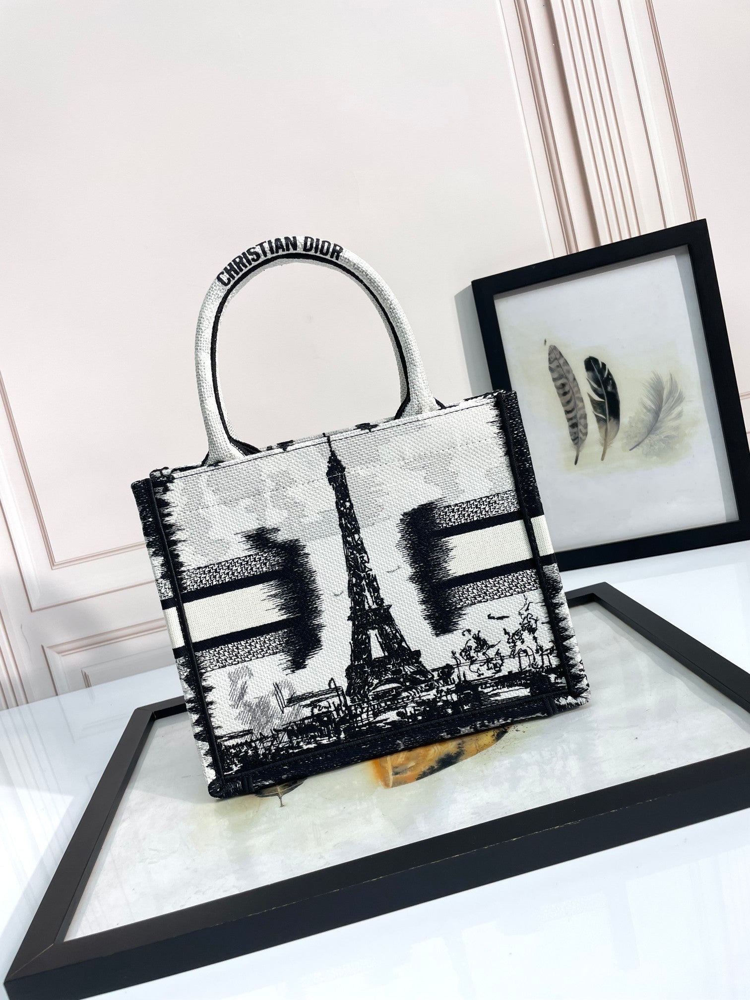 Christian Dior Medium Book Tote Plan de Paris Embroidery Black and White