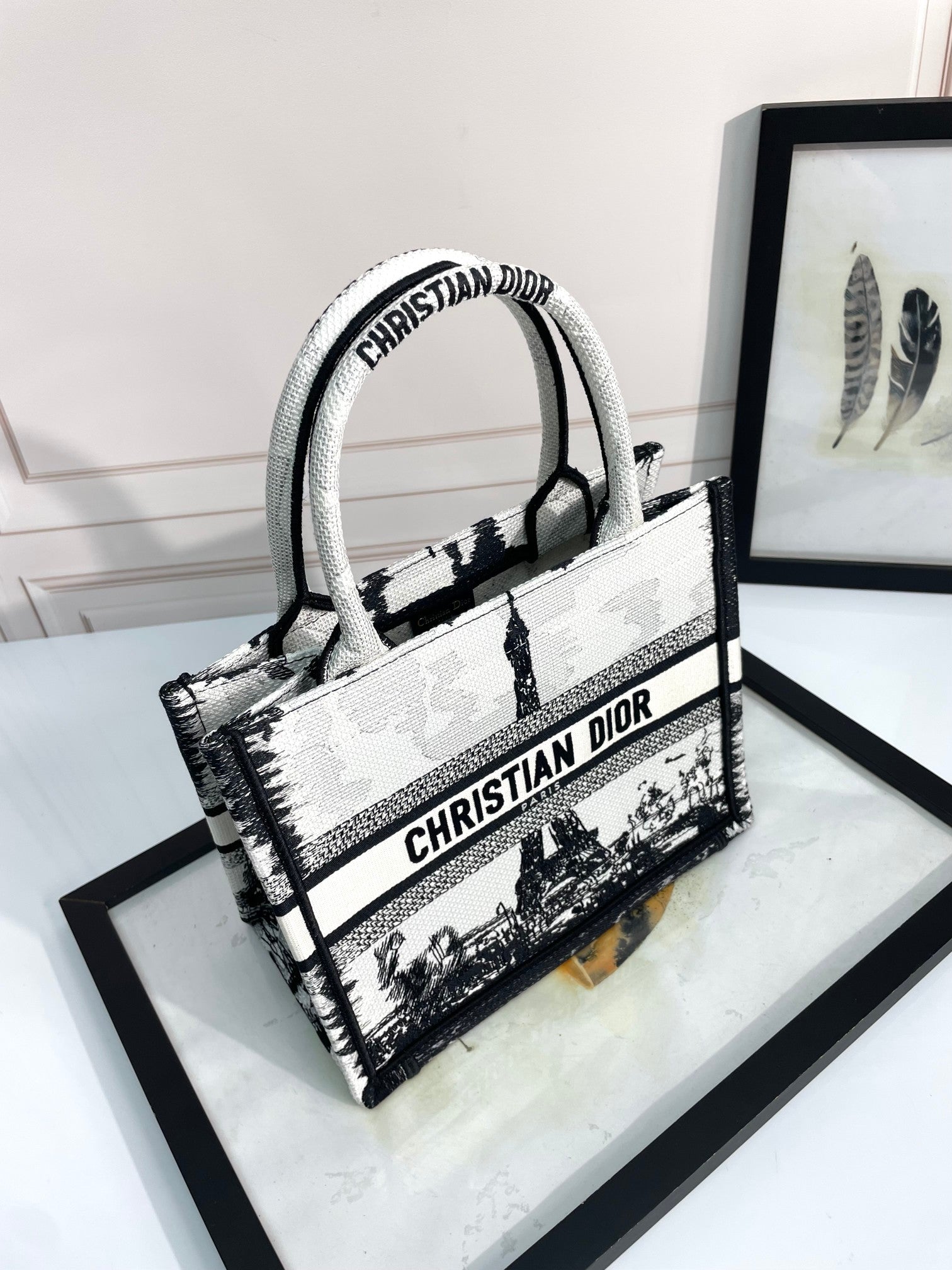 Dior Black and White Paris Eiffel Tower Print Embroidered Canvas Tote Bag