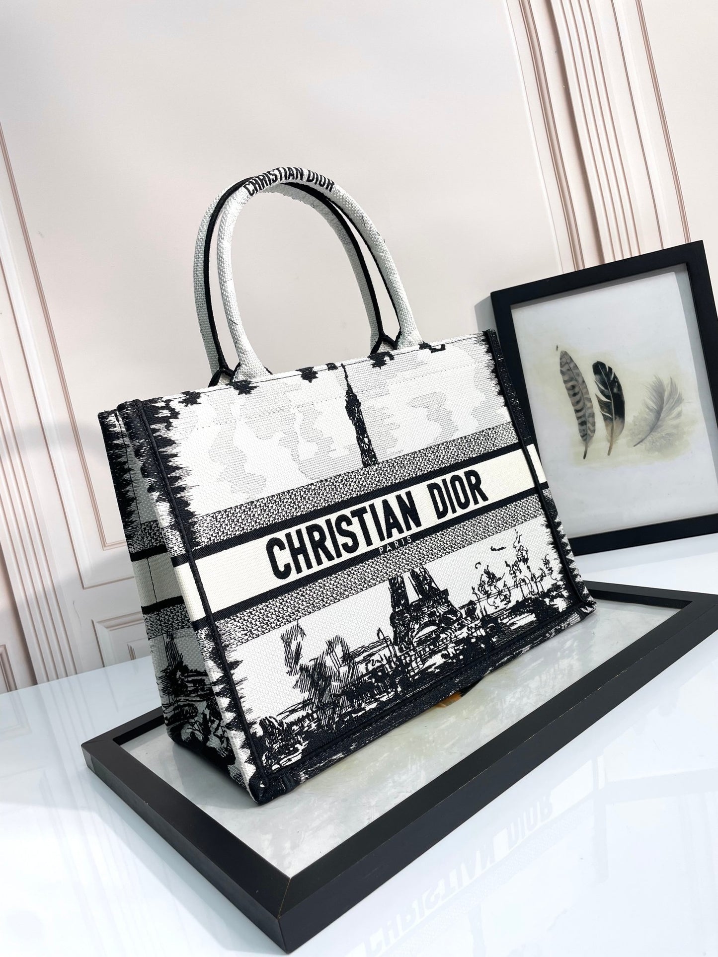 Dior Paris Eiffel Tower Black and White Embroidered Canvas Tote Bag