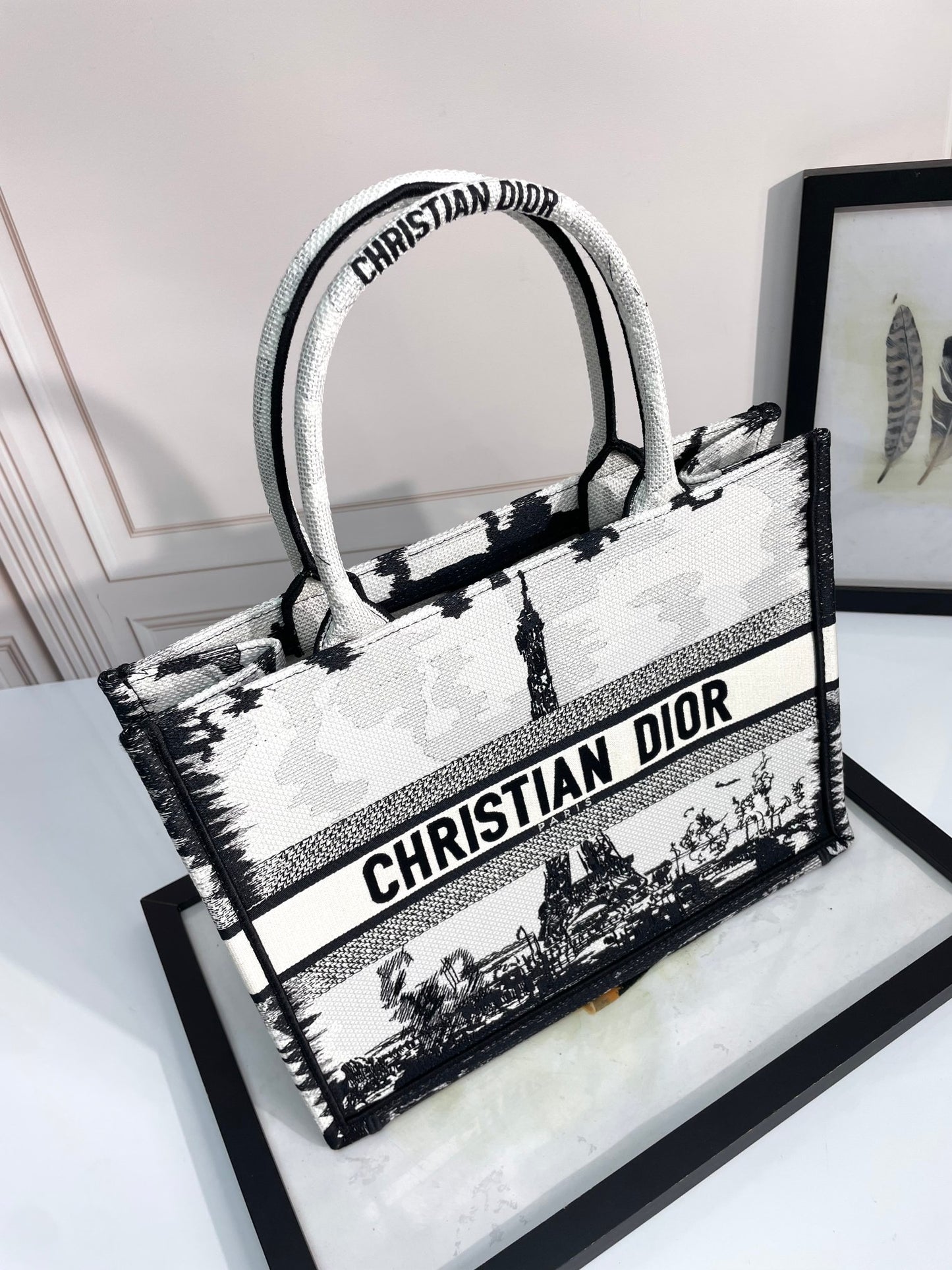 Dior Paris Eiffel Tower Embroidered Canvas Tote Bag with Top Handles