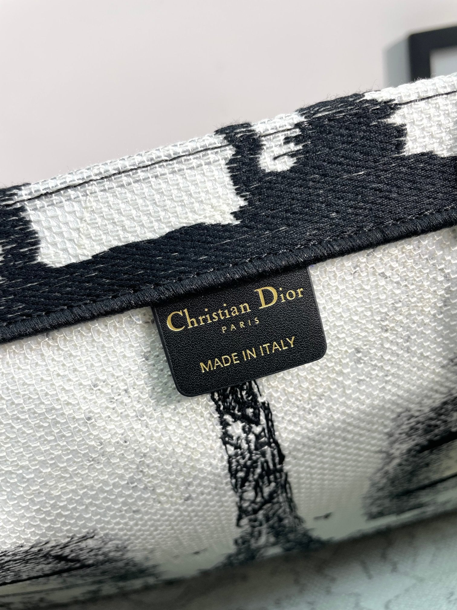 Christian Dior Book Tote Paris Eiffel Tower Black and White Canvas Handbag