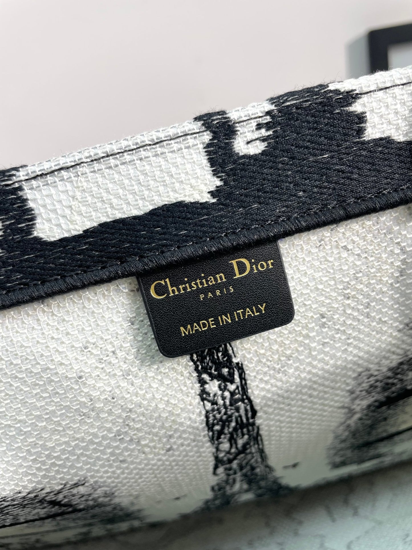Dior Paris Eiffel Tower Embroidered Canvas Tote Bag with Top Handles