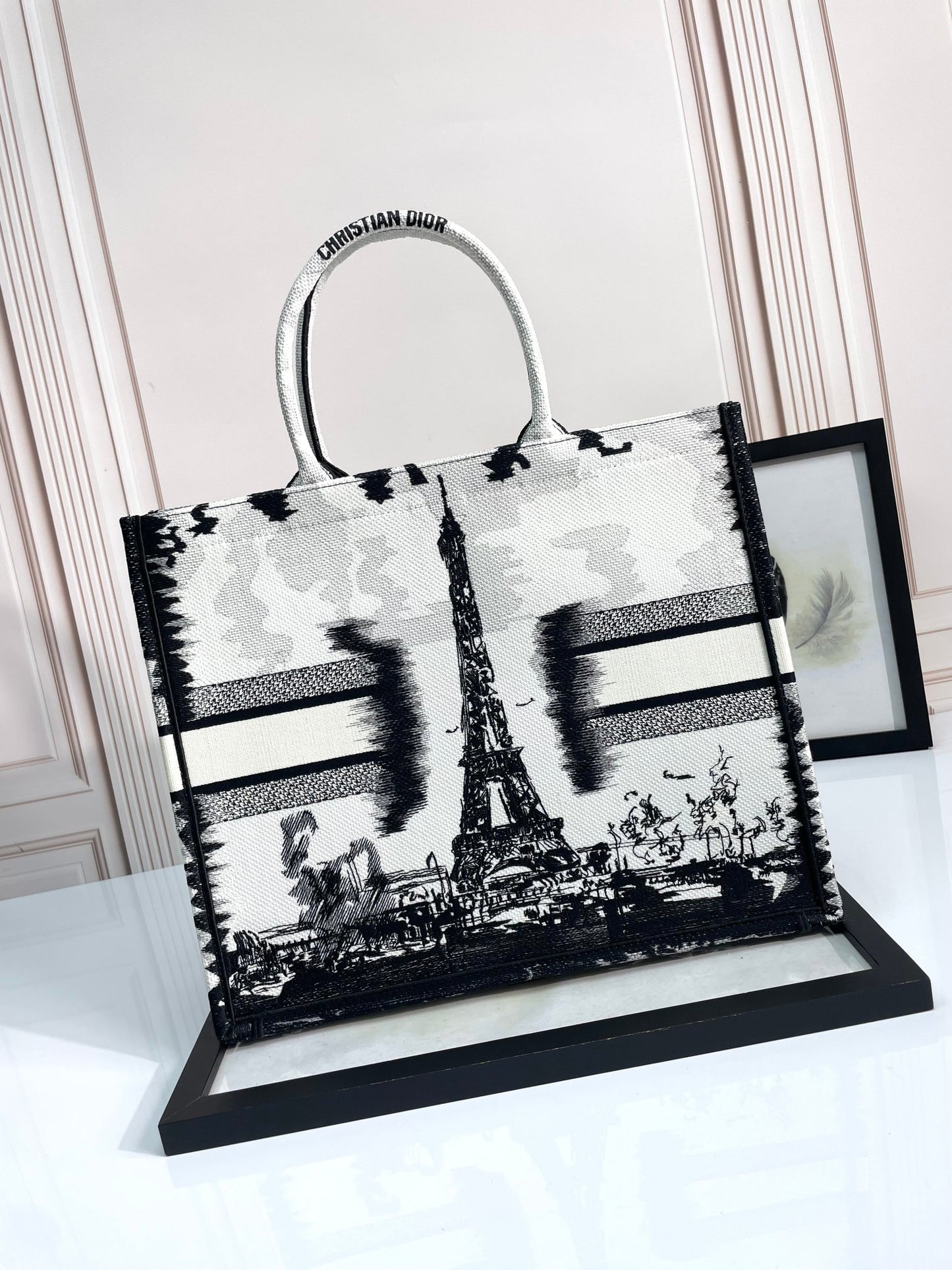 Christian Dior Medium Book Tote Bag - White and Black Plan de Paris Embroidery