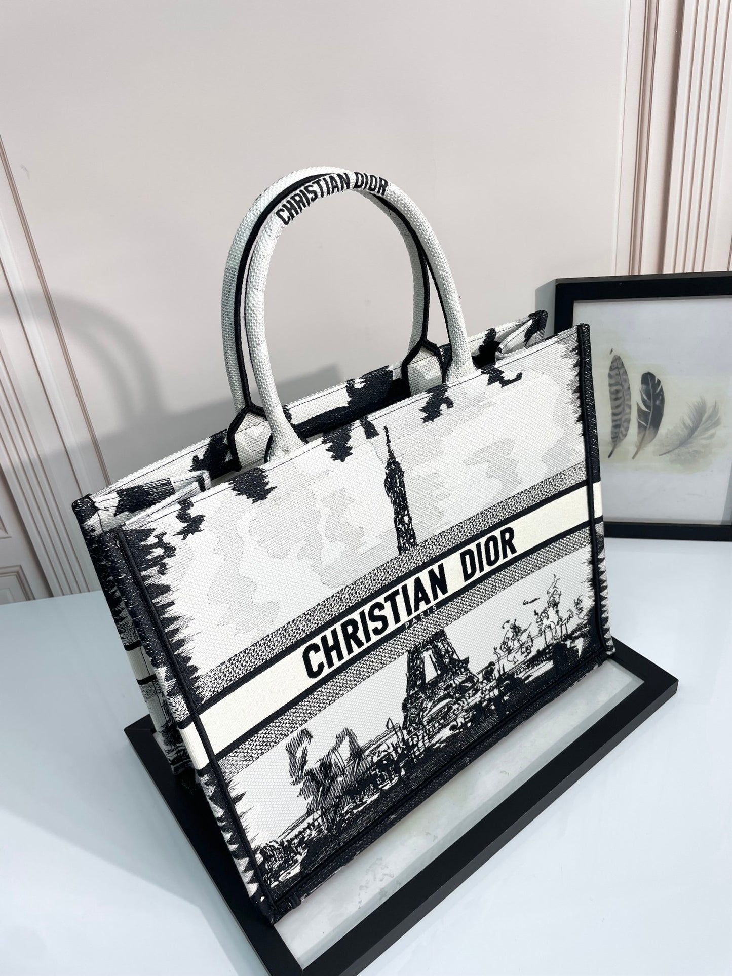 Christian Dior Medium Book Tote Bag - White and Black Plan de Paris Embroidery