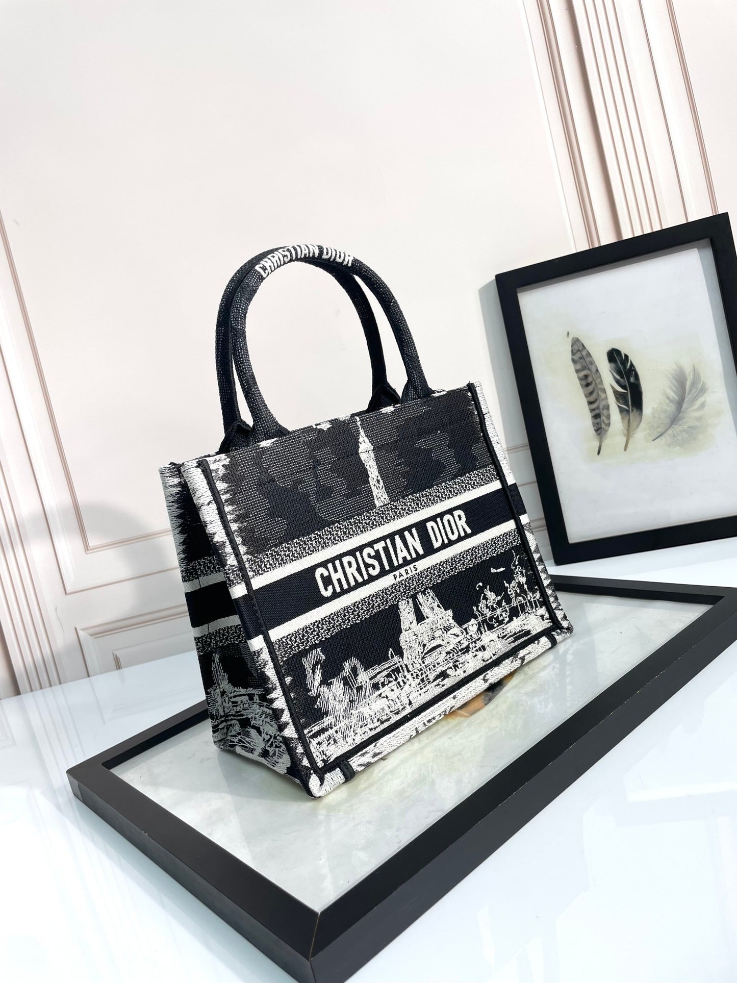 Christian Dior Small Book Tote Bag - Black and White Plan de Paris Embroidery