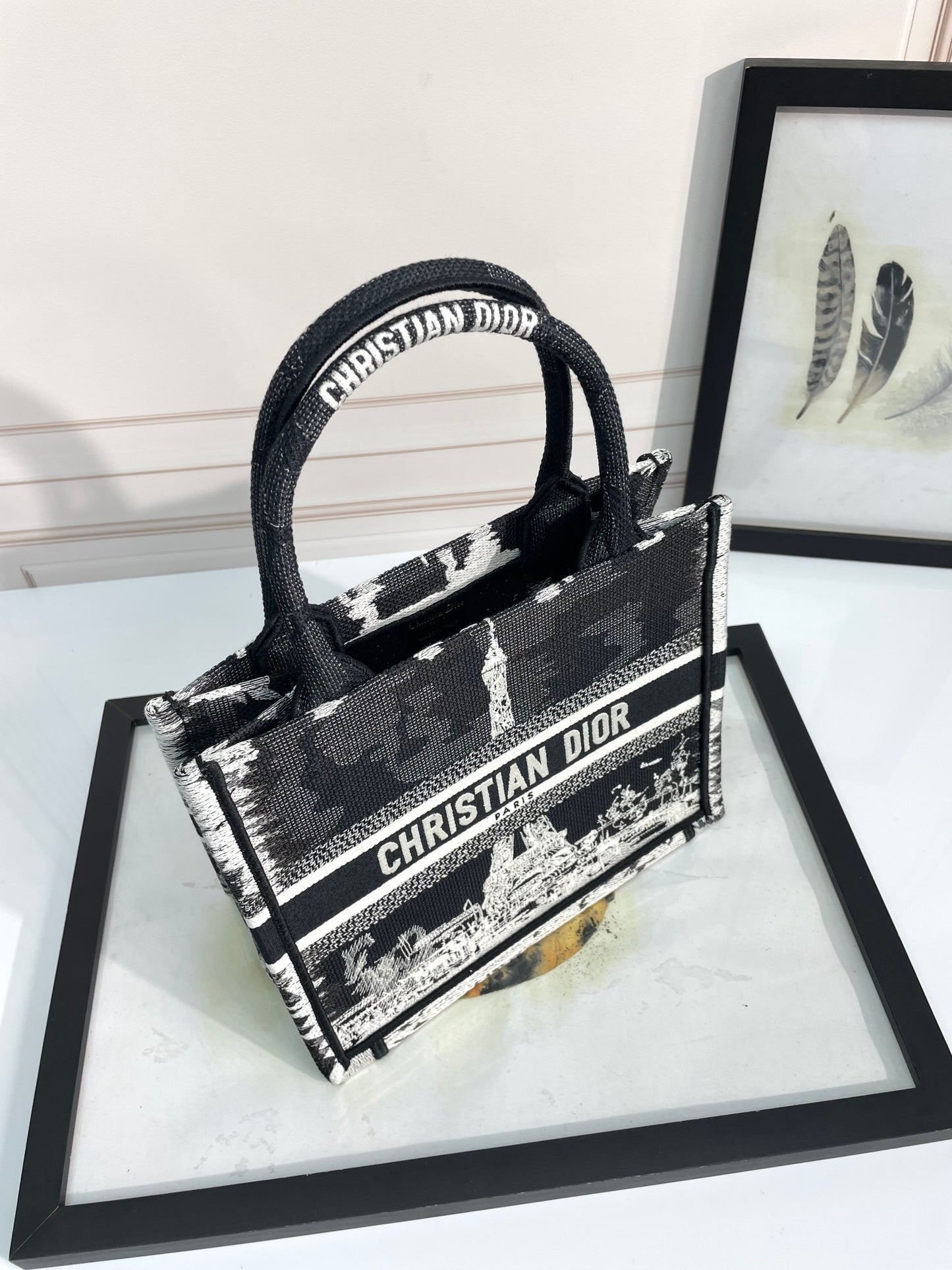Christian Dior Small Book Tote Bag - Black and White Plan de Paris Embroidery