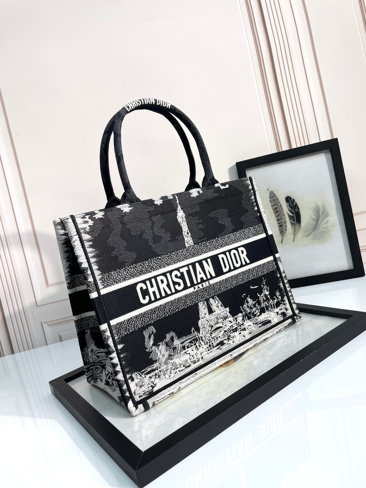 Christian Dior Book Tote - Paris Eiffel Tower Black & White Embroidered Canvas