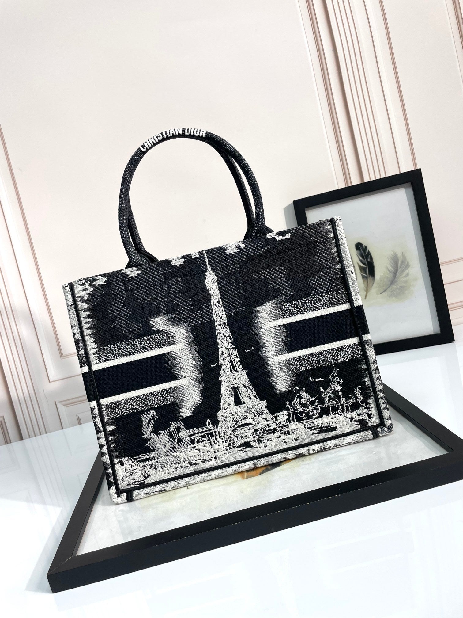 Christian Dior Medium Book Tote Plan de Paris Embroidery - Black & White
