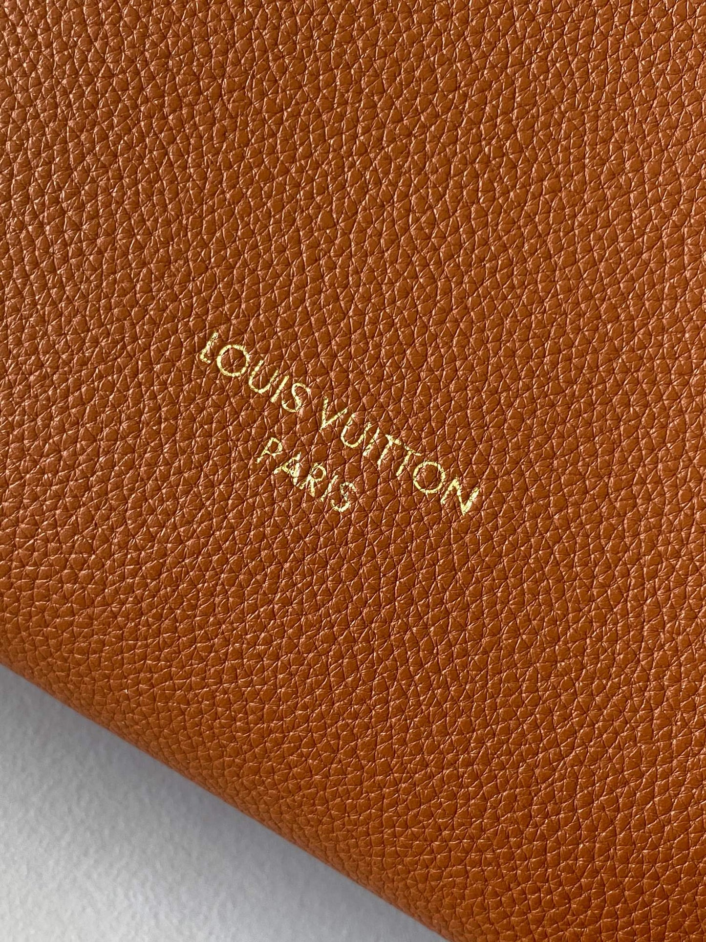 Louis Vuitton Elegant Brown Grained Leather Slouchy Hobo Shoulder Bag