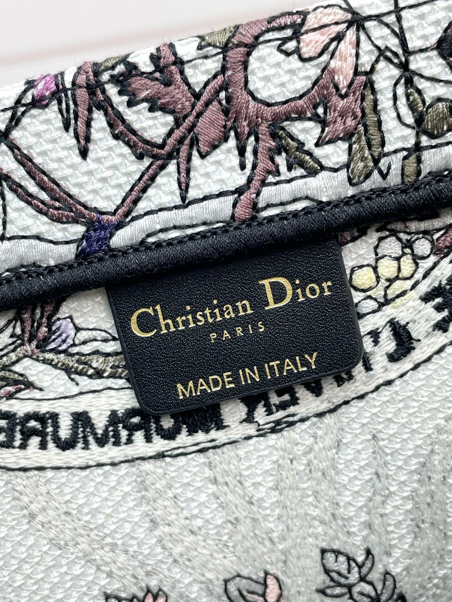 Christian Dior Book Tote - Embroidered Toile de Jouy Large Bag