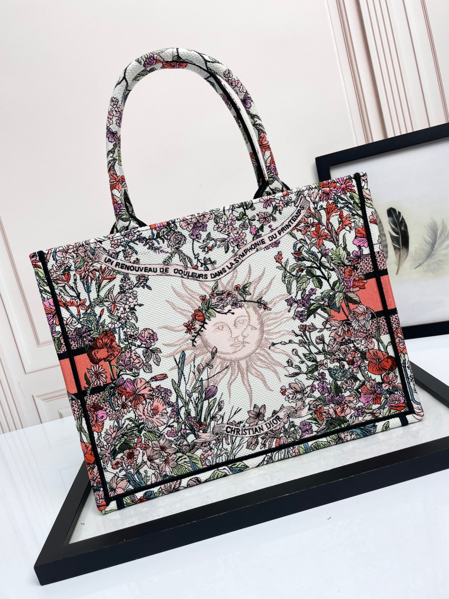 Christian Dior Book Tote Bag - Multicolor Toile de Jouy Embroidered Canvas