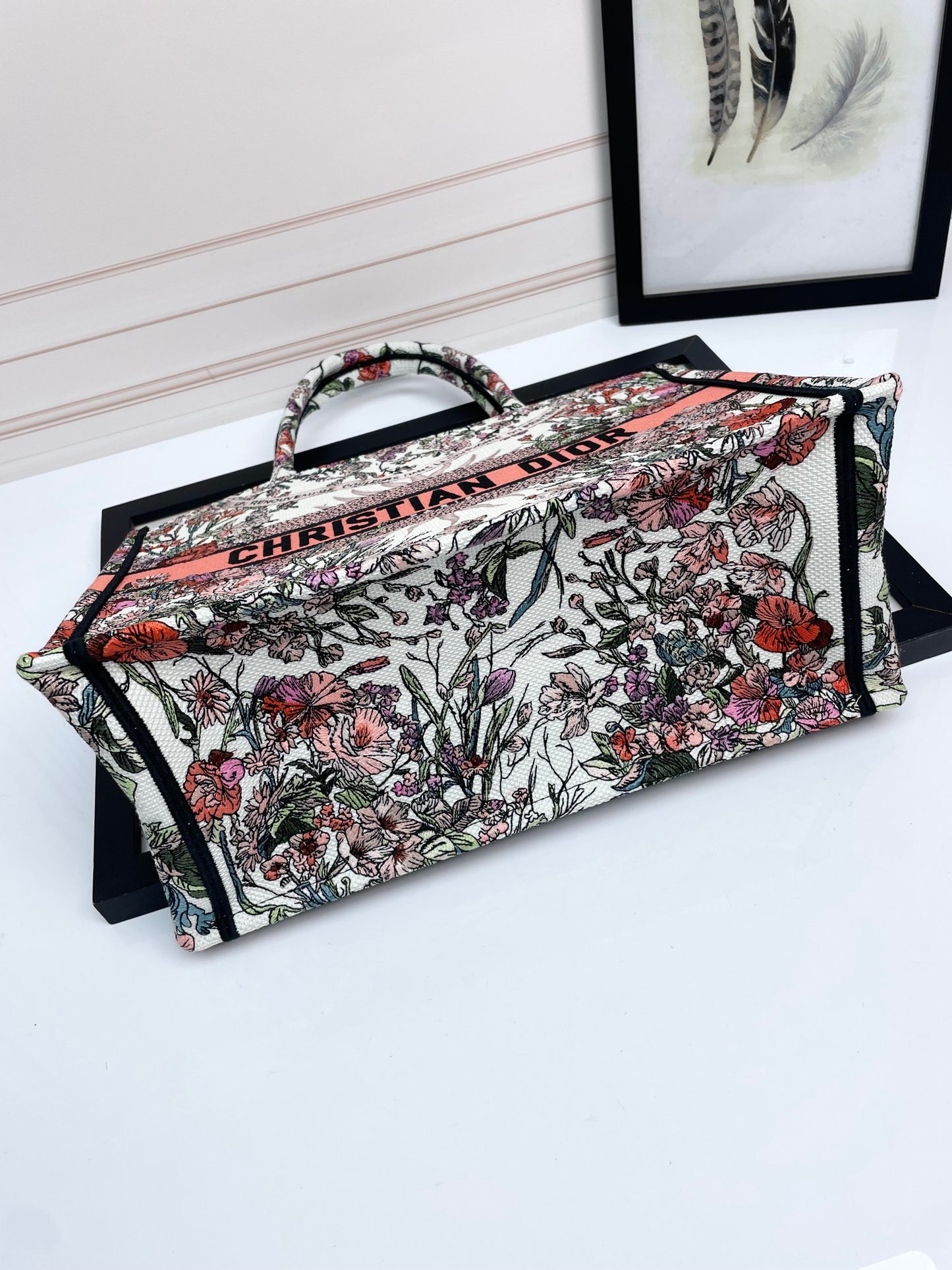 Christian Dior Book Tote Bag - Multicolor Toile de Jouy Embroidered Canvas