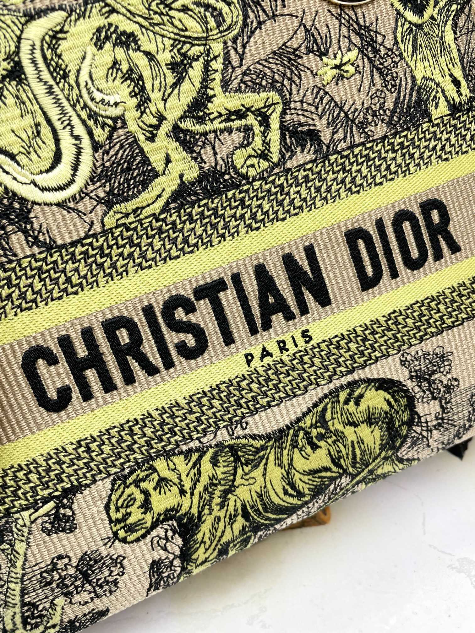 Christian Dior Lady D-Lite Embroidered Handbag with Shoulder Strap - Green & Beige