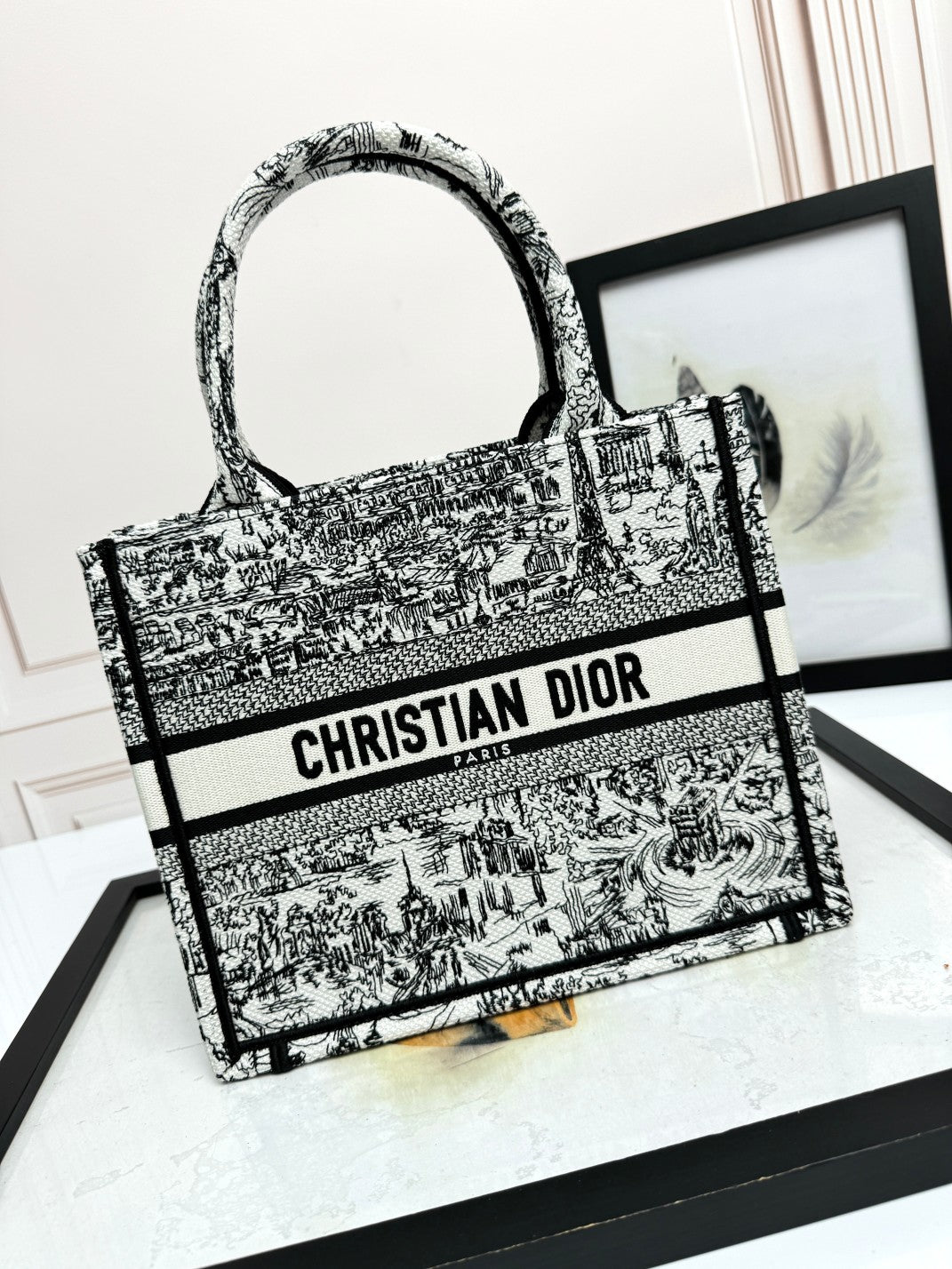Christian Dior Book Tote - Black and White Embroidered Toile de Jouy Canvas