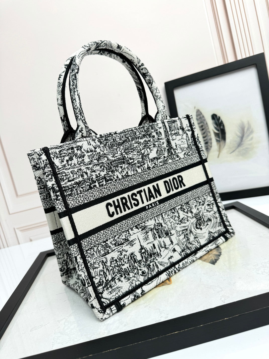 Christian Dior Black and White Toile de Jouy Book Tote Bag