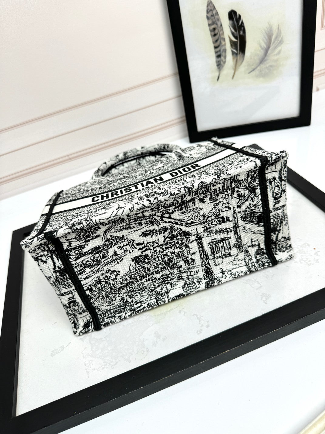 Christian Dior Book Tote - Black and White Embroidered Toile de Jouy Canvas