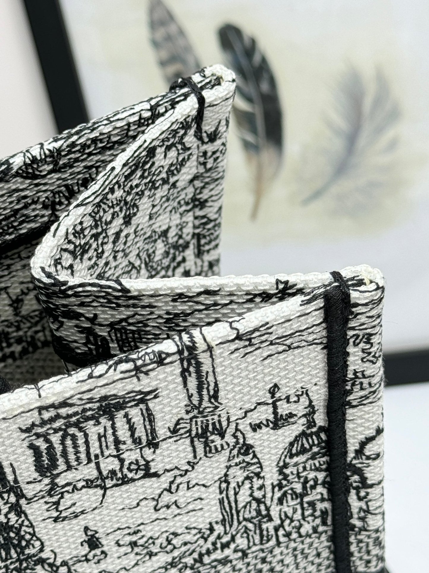 Christian Dior Large Book Tote Black and White Toile de Jouy Embroidery Handbag