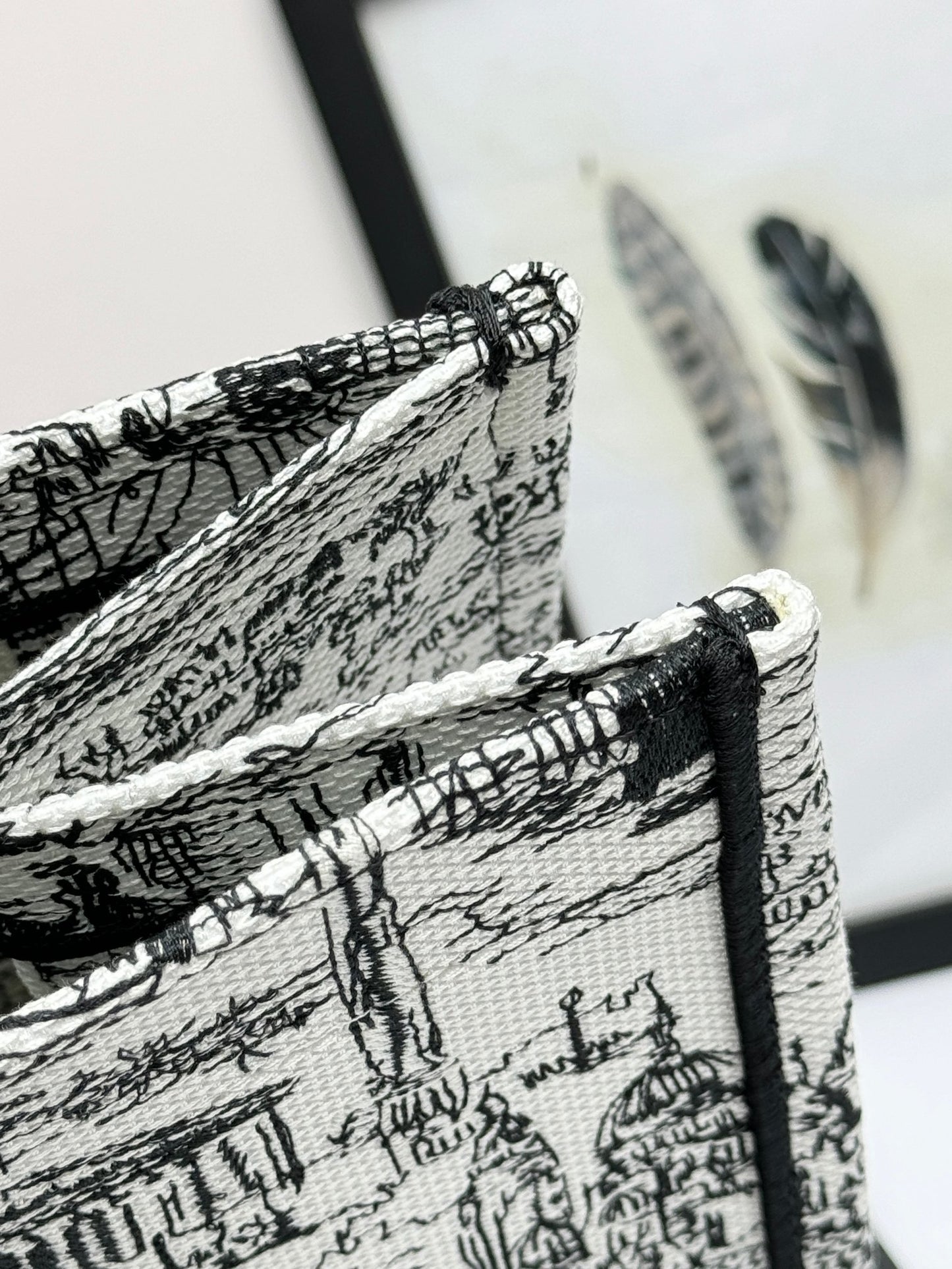 Christian Dior Large Book Tote Plan de Paris White and Black Embroidery