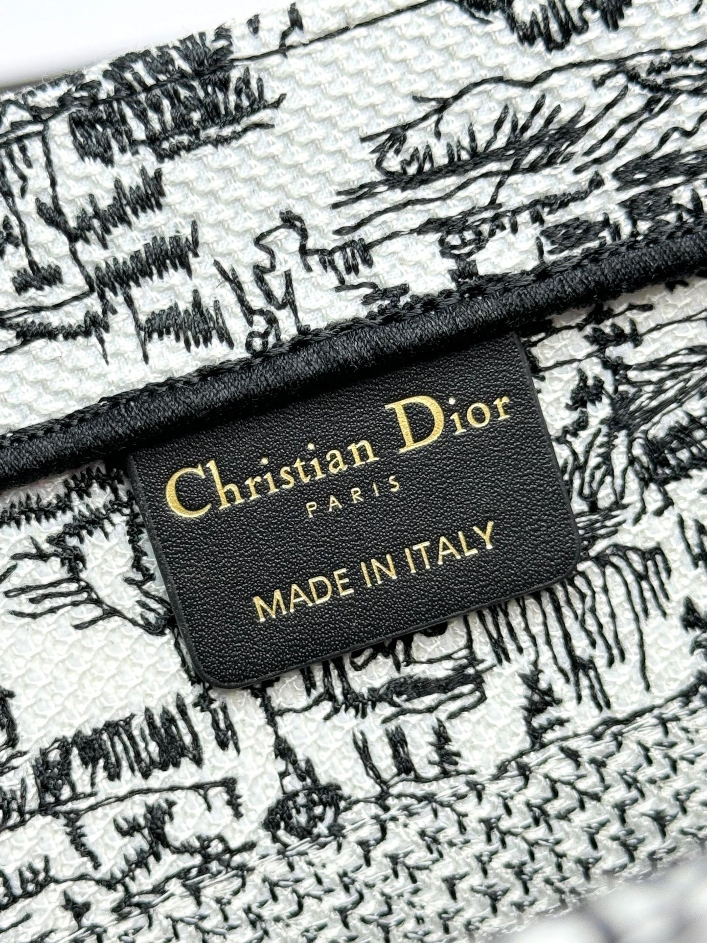 Dior Classic Black and White Architecture Print Canvas Tote Handbag
