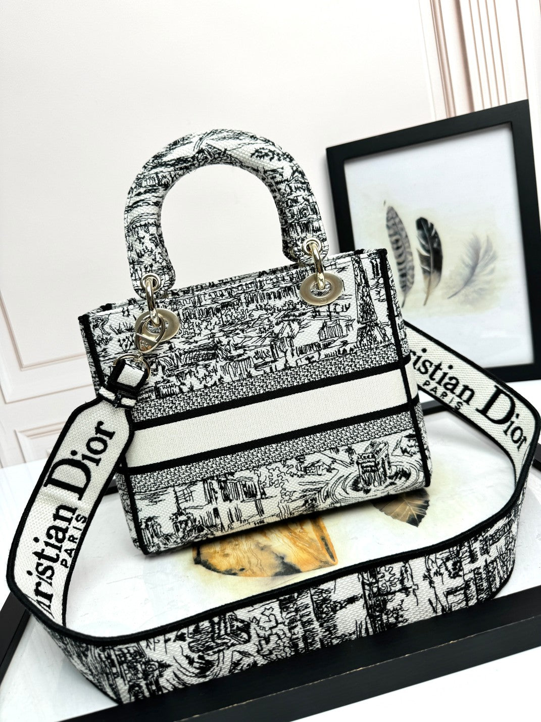 Dior Classic Black and White Toile Pattern Embroidered Top Handle Bag