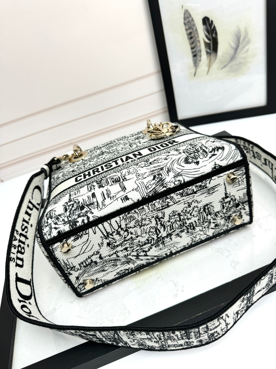 Christian Dior Lady D-Lite Bag - Toile de Jouy Reverse Embroidery - White and Black