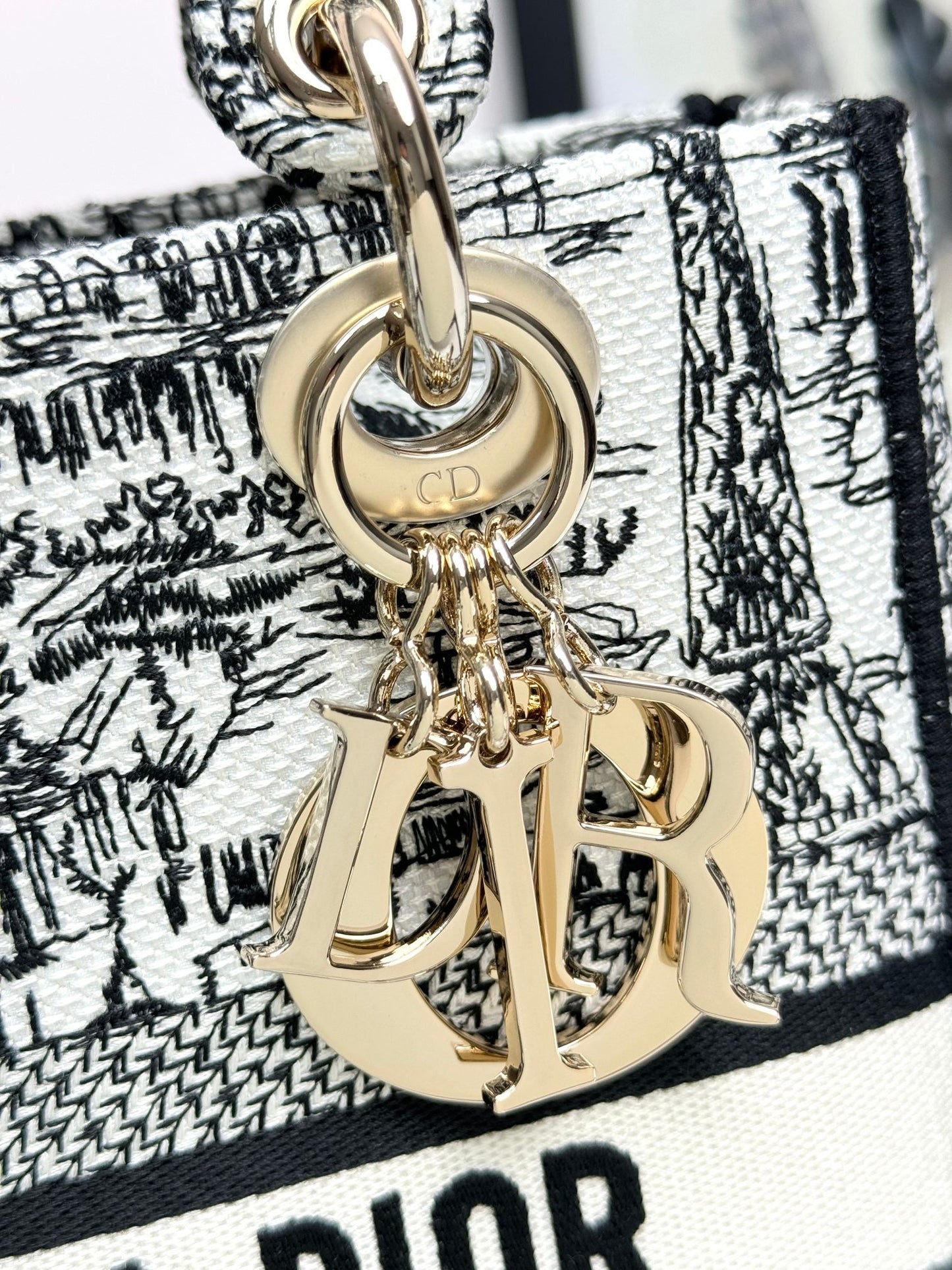 Christian Dior Lady D-Lite Bag - Toile de Jouy Reverse Embroidery - White and Black
