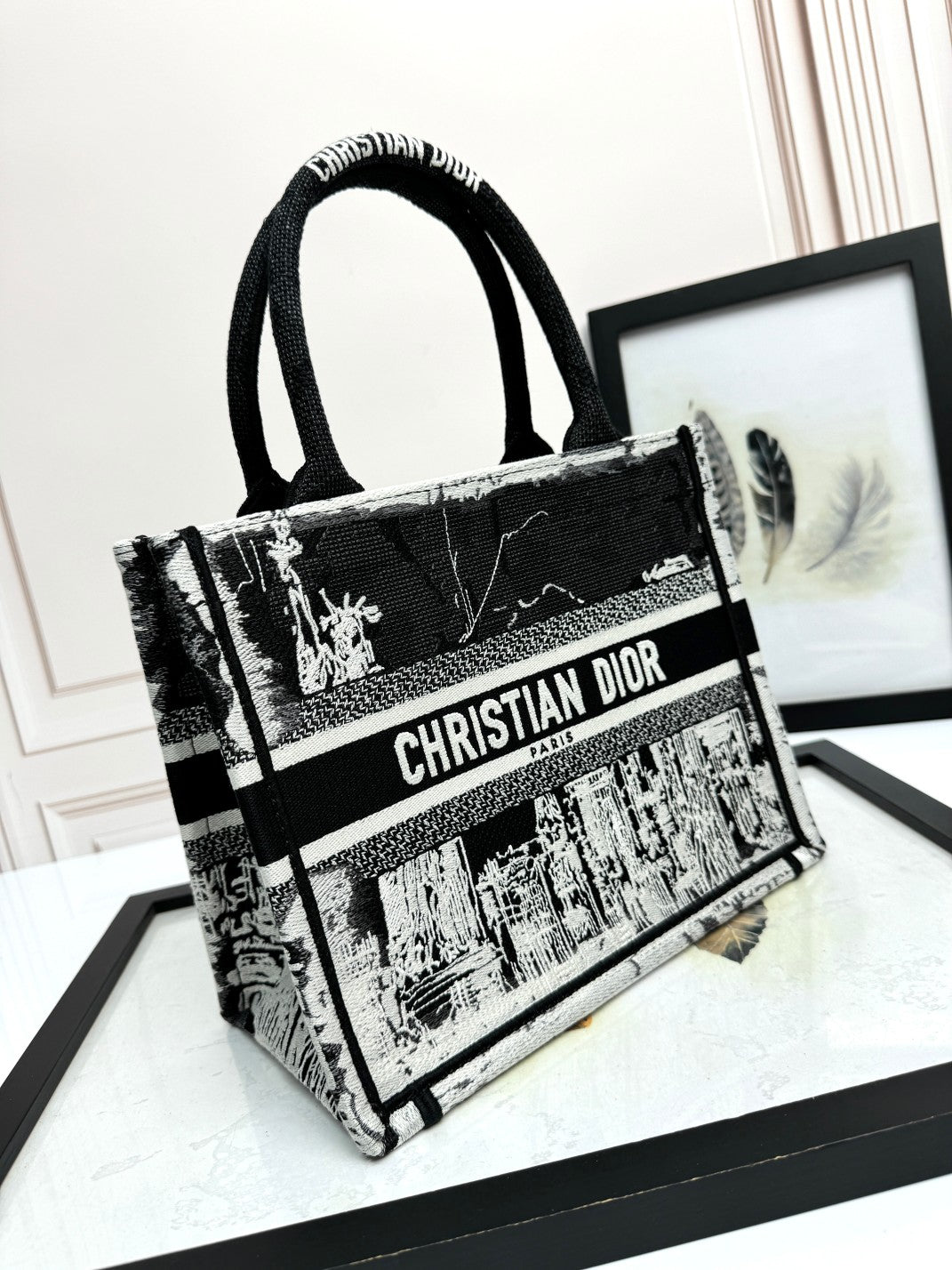 Dior Black and White Landscape Embroidered Structured Canvas Tote Handbag