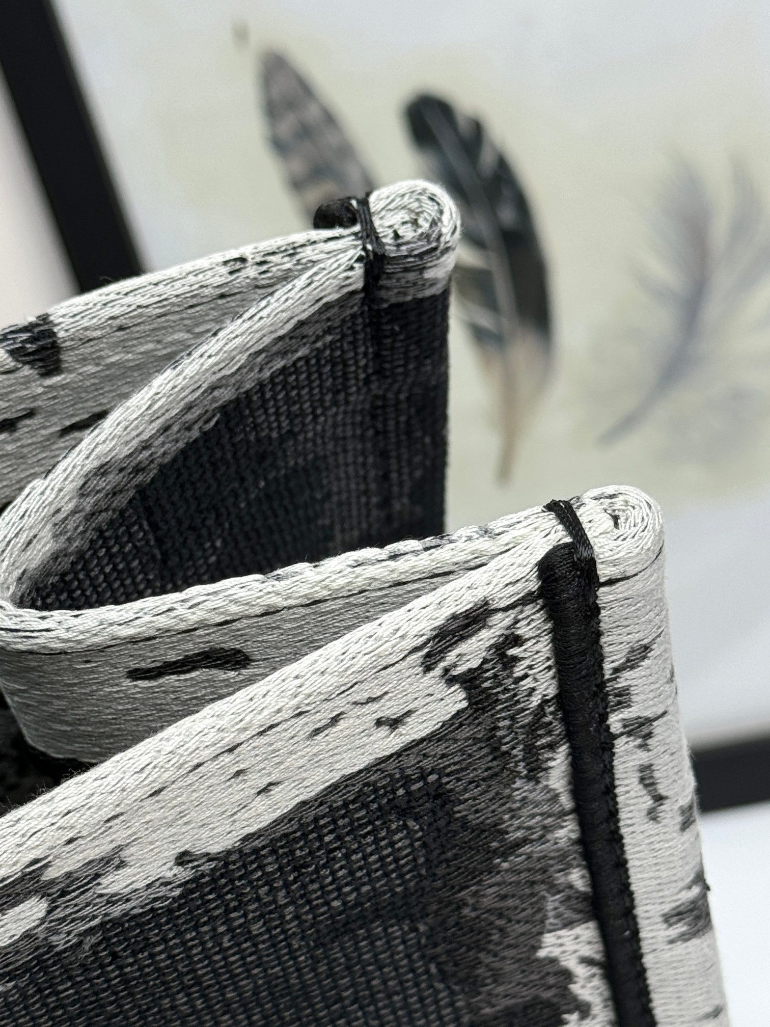 Dior Embroidered Black and White Graphic Canvas Tote Handbag