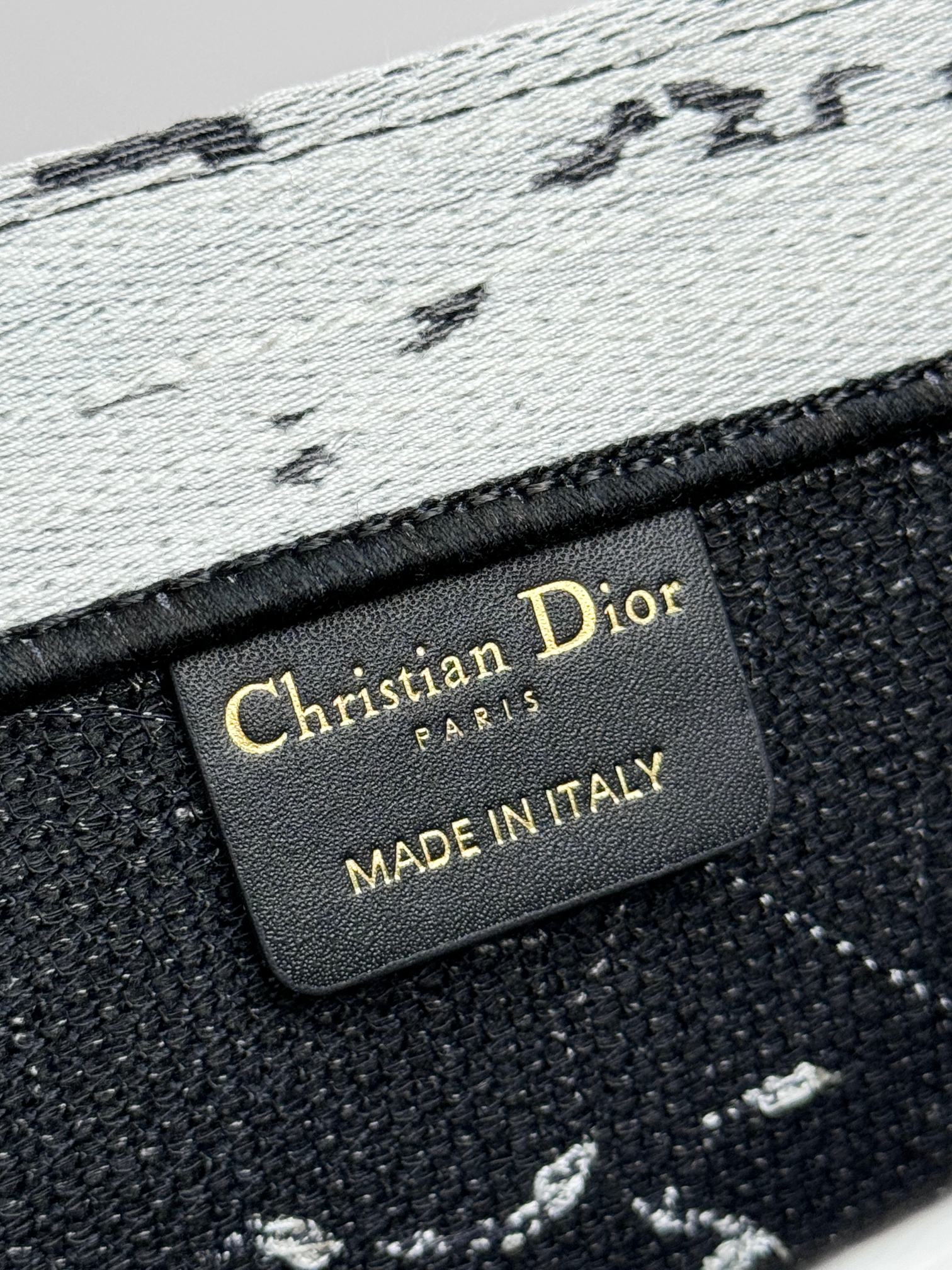 Dior Monochrome Statue of Liberty Graphic Canvas Tote Handbag