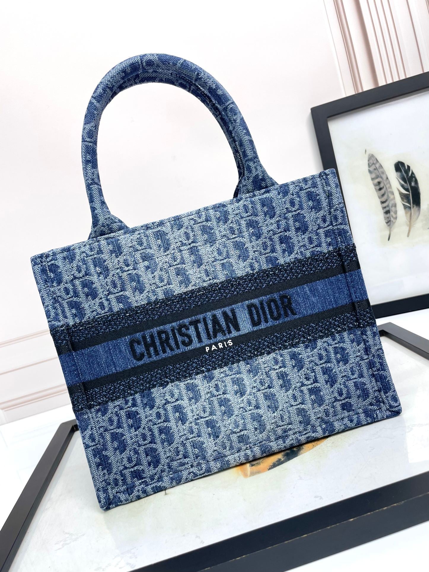 Christian Dior Book Tote Blue Oblique Embroidery Canvas Handbag