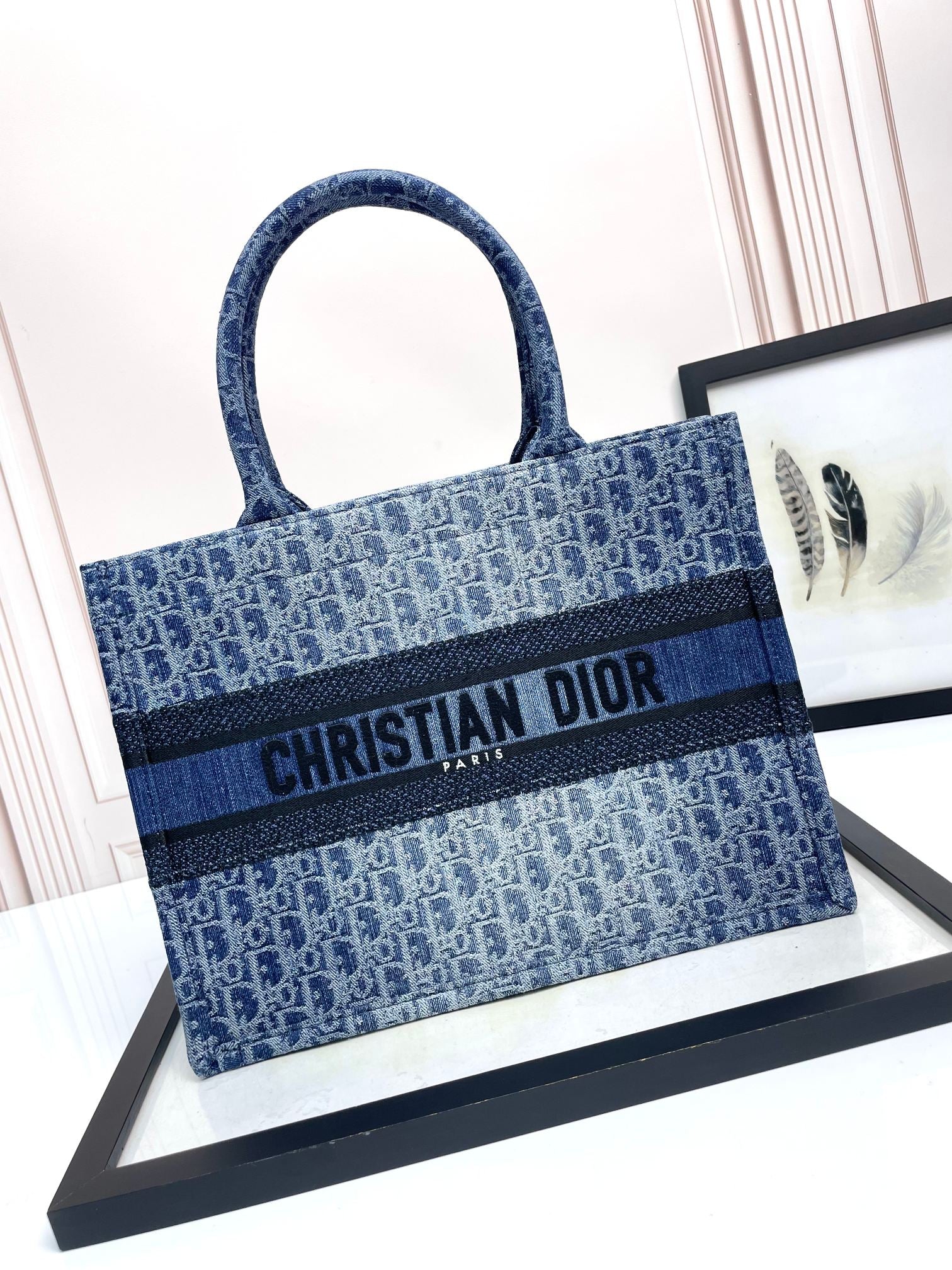Christian Dior Book Tote Blue Oblique Embroidered Canvas Handbag