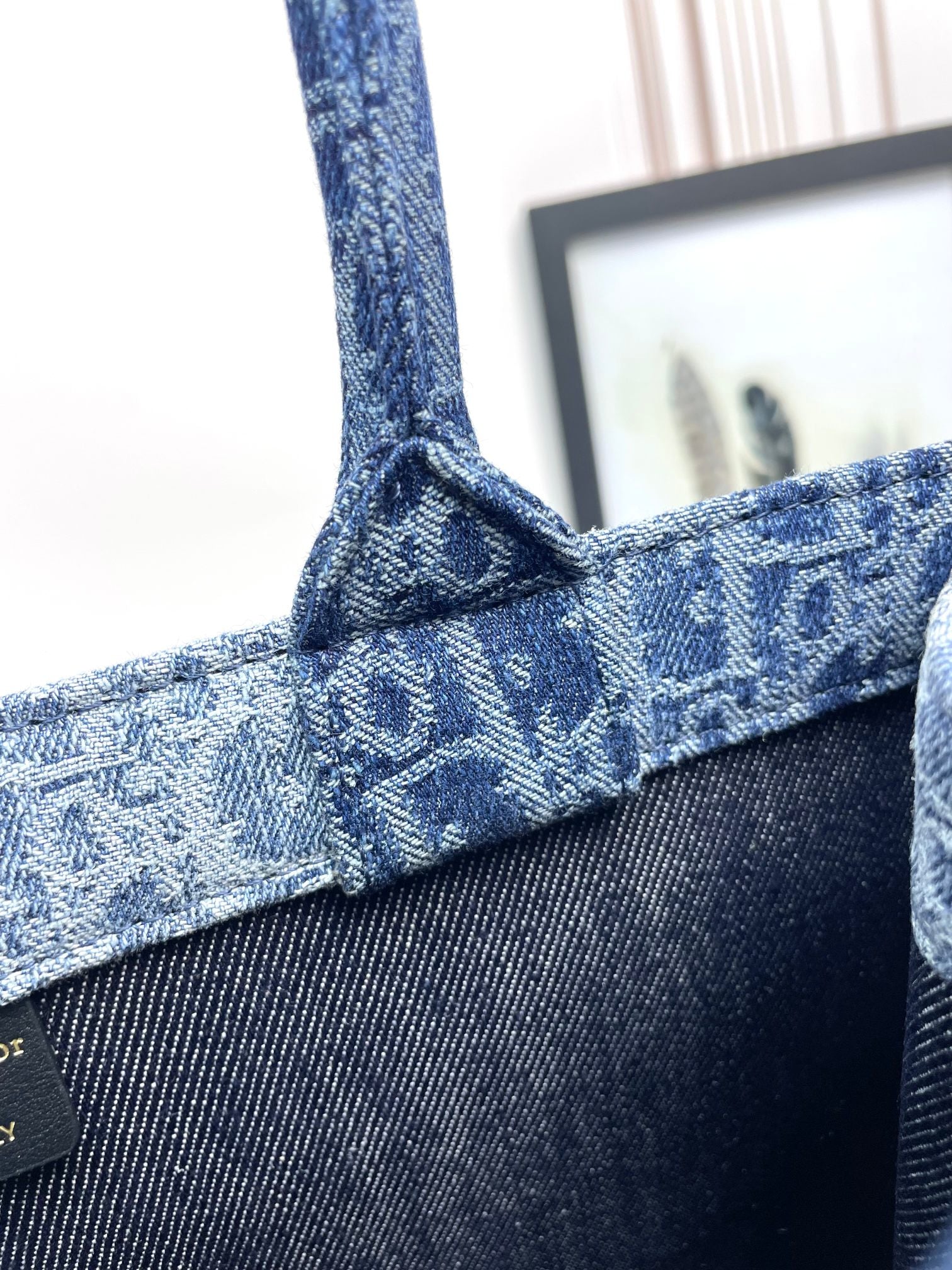 Christian Dior Book Tote Blue Oblique Embroidered Canvas Handbag