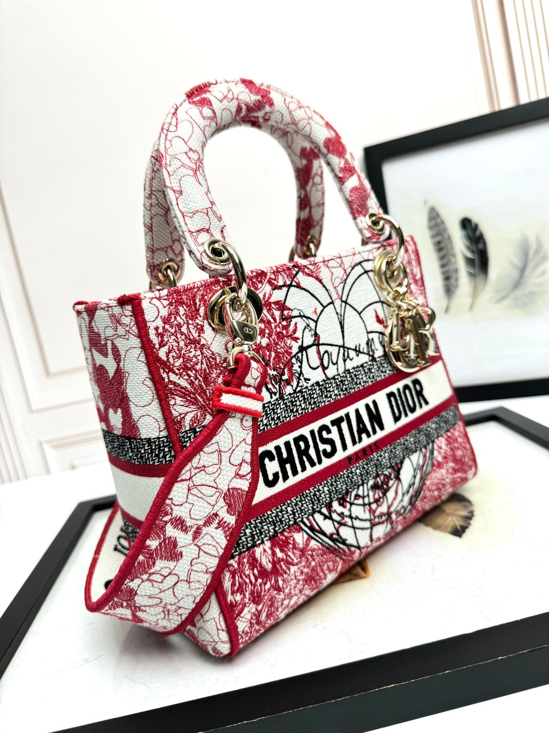 Christian Dior Lady D-Lite Medium Bag - Red and White Embroidered Toile de Jouy Canvas