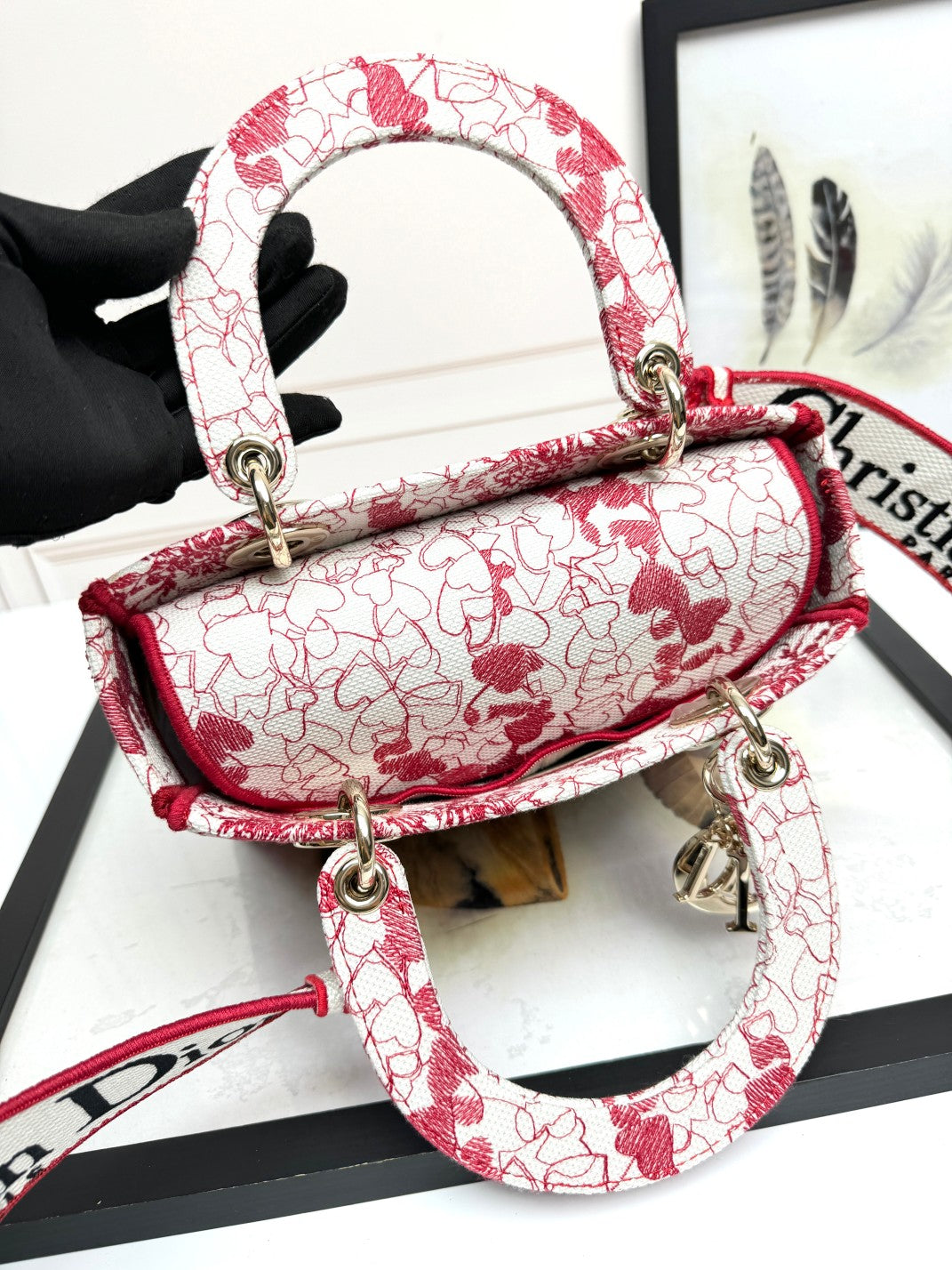 Christian Dior Medium Lady Dior Bag - Red and White Toile de Jouy Embroidery