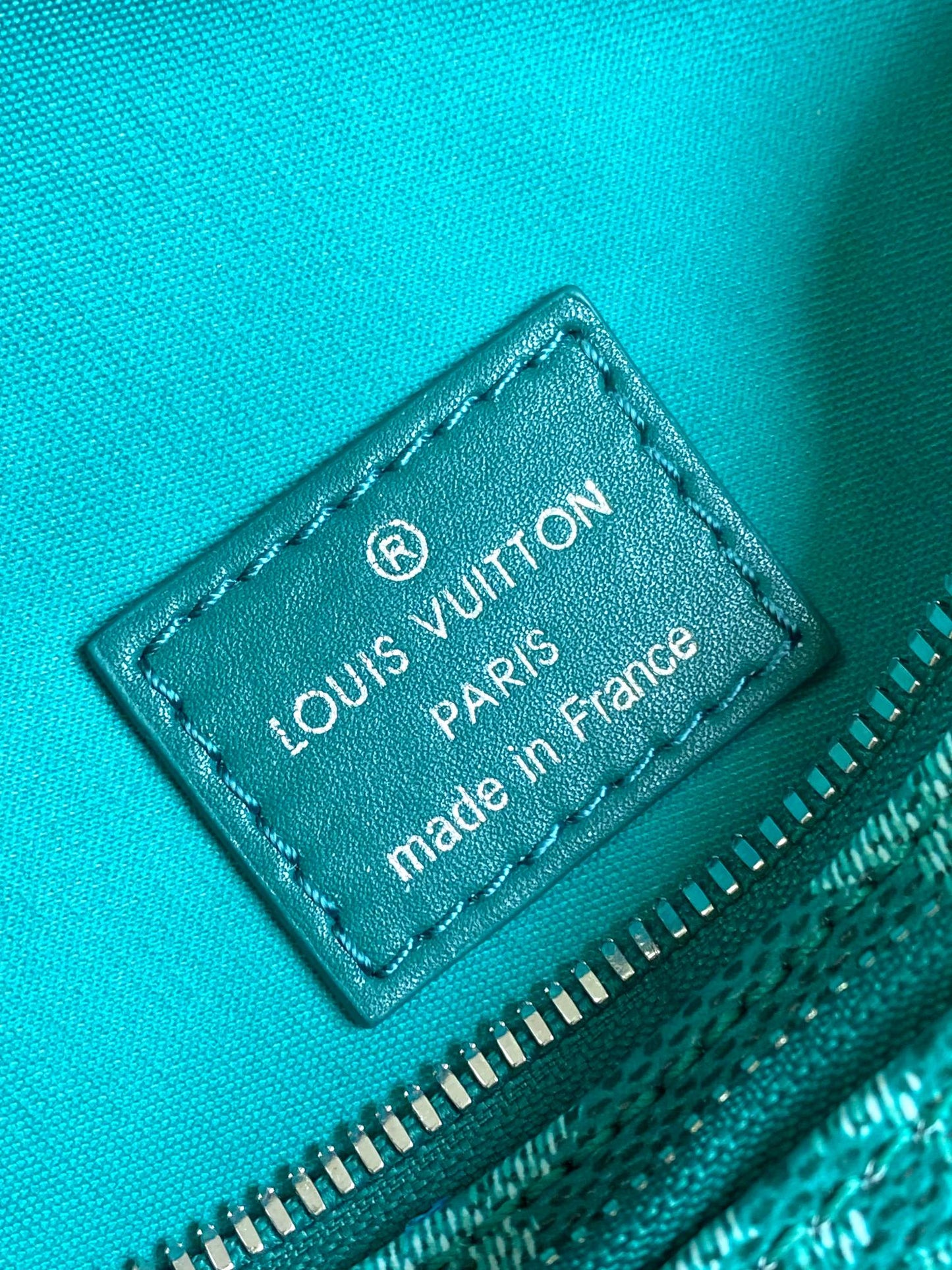 Louis Vuitton Green Monogram Canvas Waist Bag with Dog Paw Print Charm