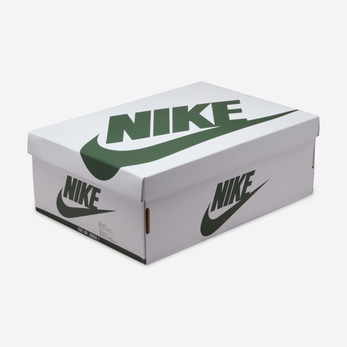 Air Jordan 1 High OG WMNS “Fir”