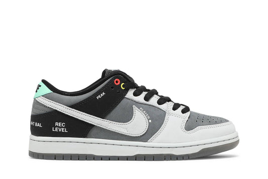 Nike SB Dunk Low Camcorder CV1659-001