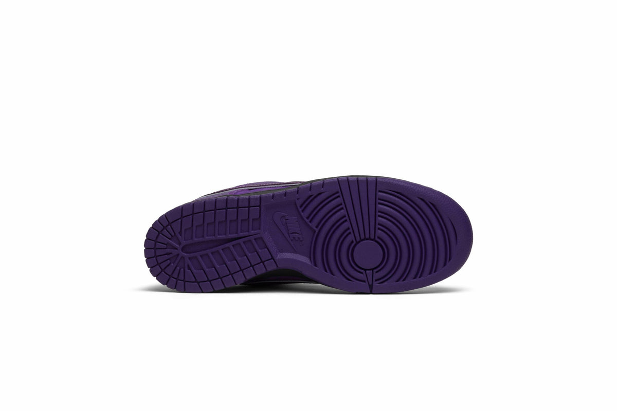 Concepts X Nike SB Dunk Low Purple Lobster BV1310-555