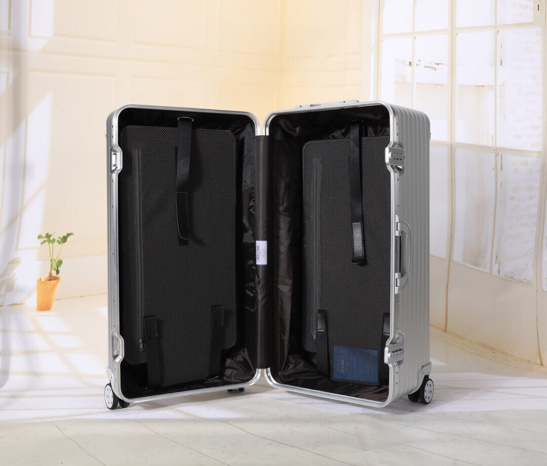 Sleek Silver Hardside Spinner Luggage with Telescopic Handle