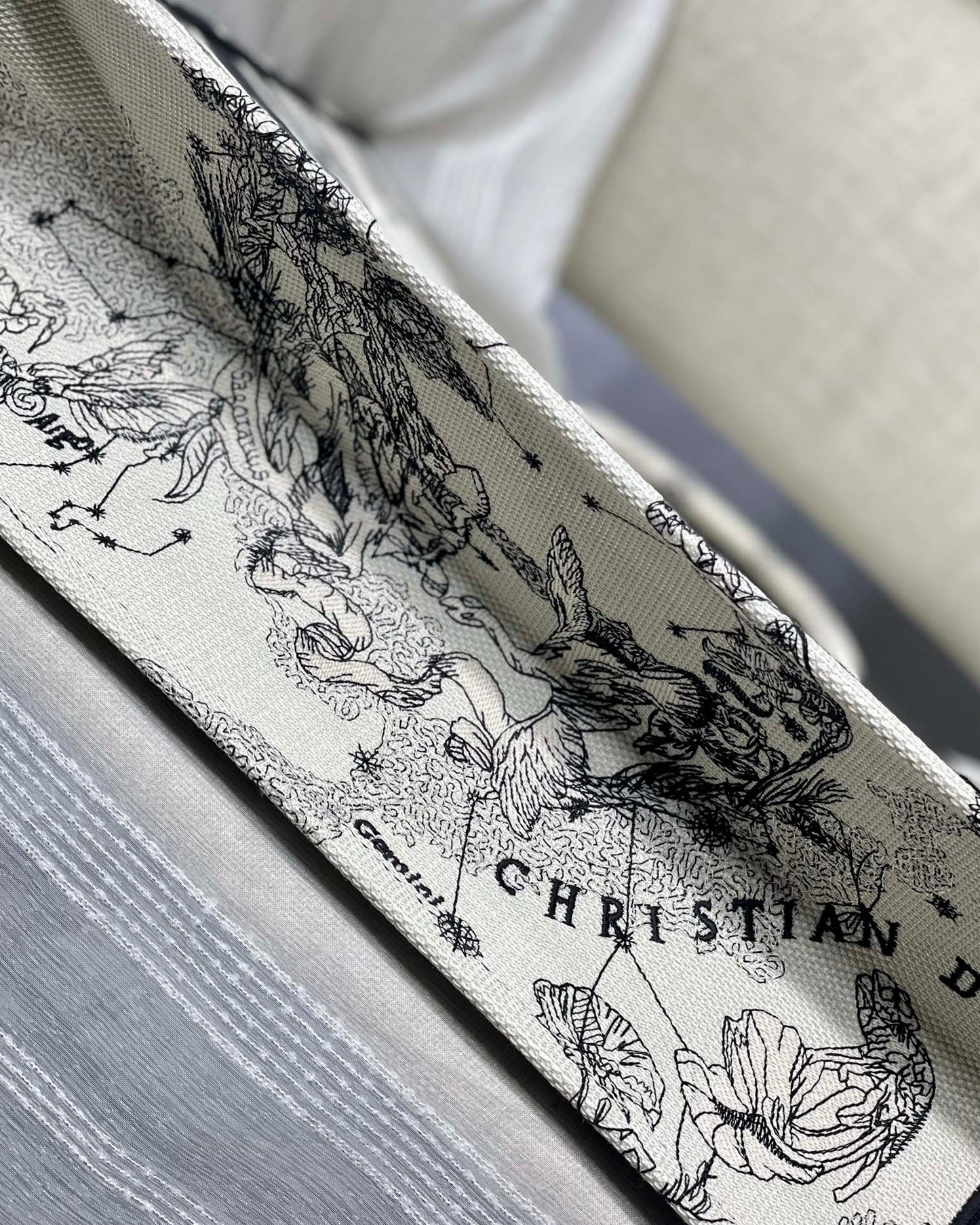 Dior Celestial Zodiac Constellation Print Canvas Tote Handbag