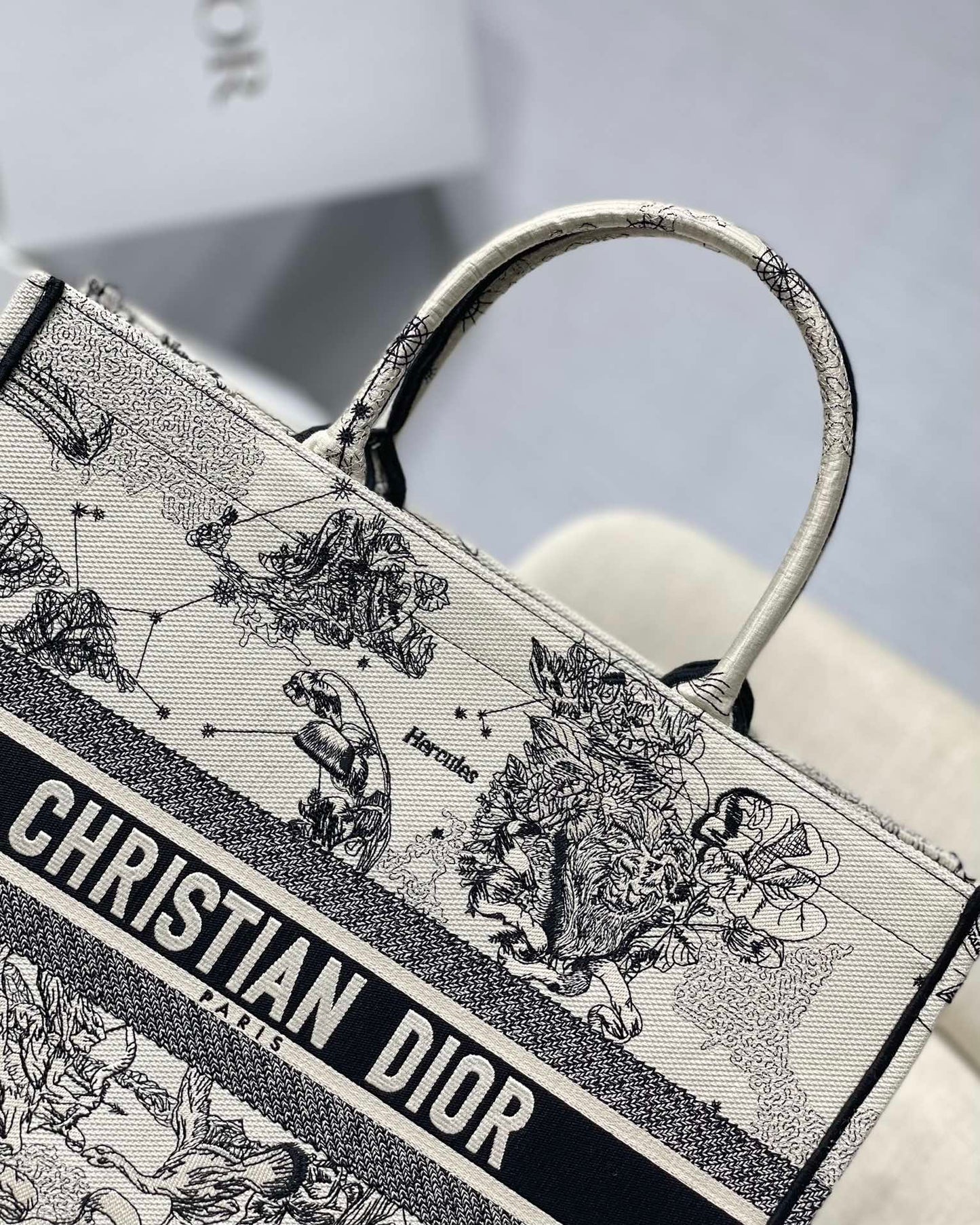 Dior Celestial Zodiac Constellation Print Canvas Tote Handbag