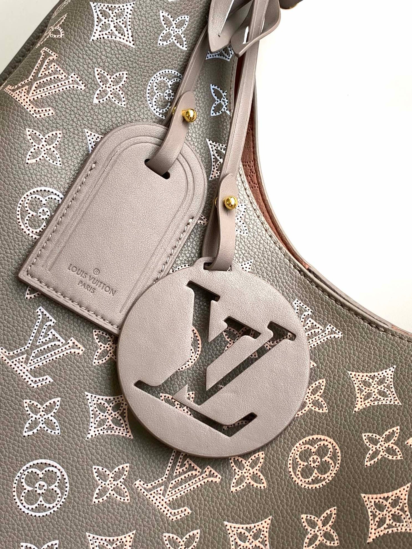 Louis Vuitton Taupe Monogram Leather Hobo Bag with Braided Handle