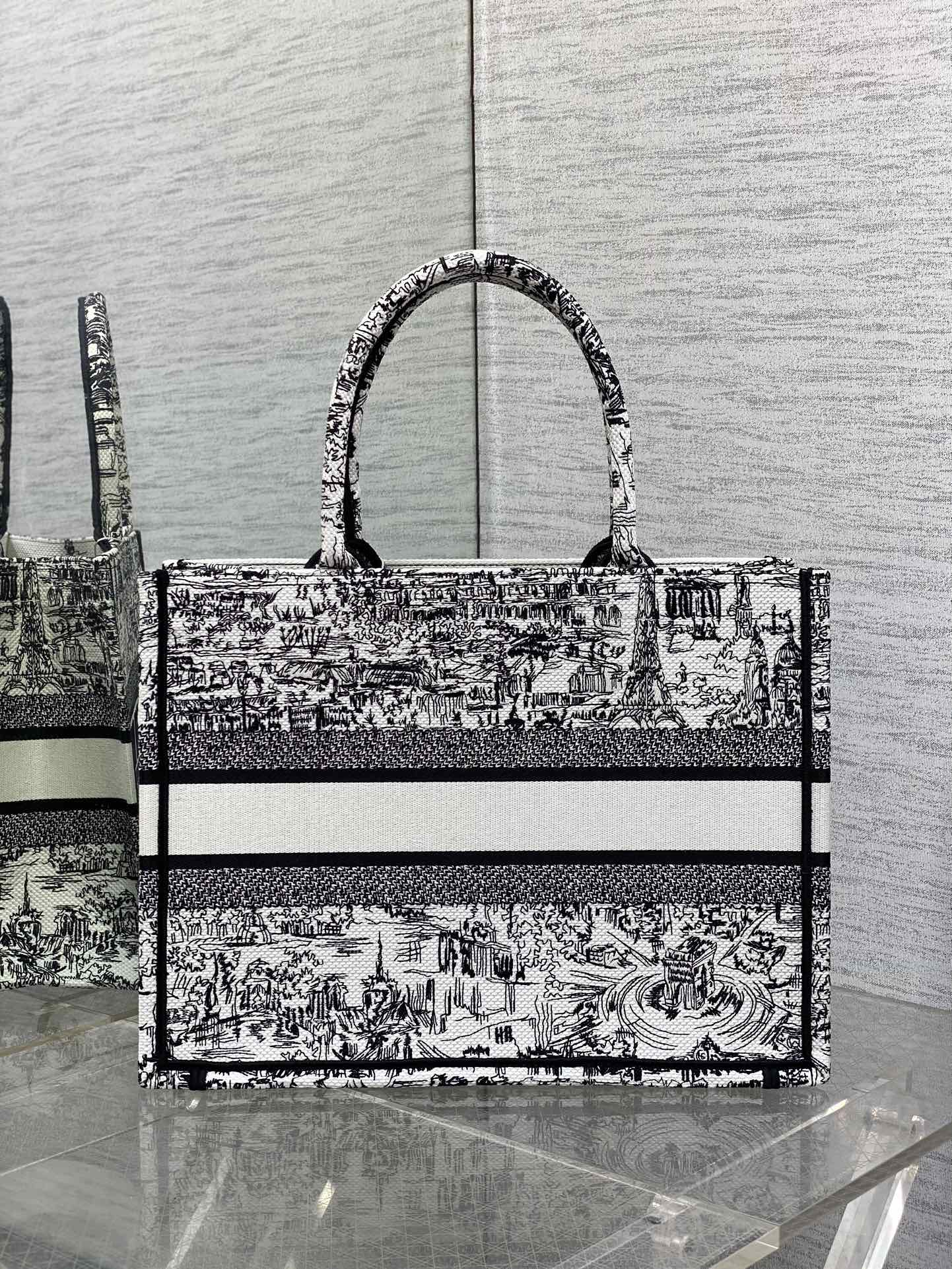 Christian Dior Large Book Tote Black and White Plan de Paris Embroidery