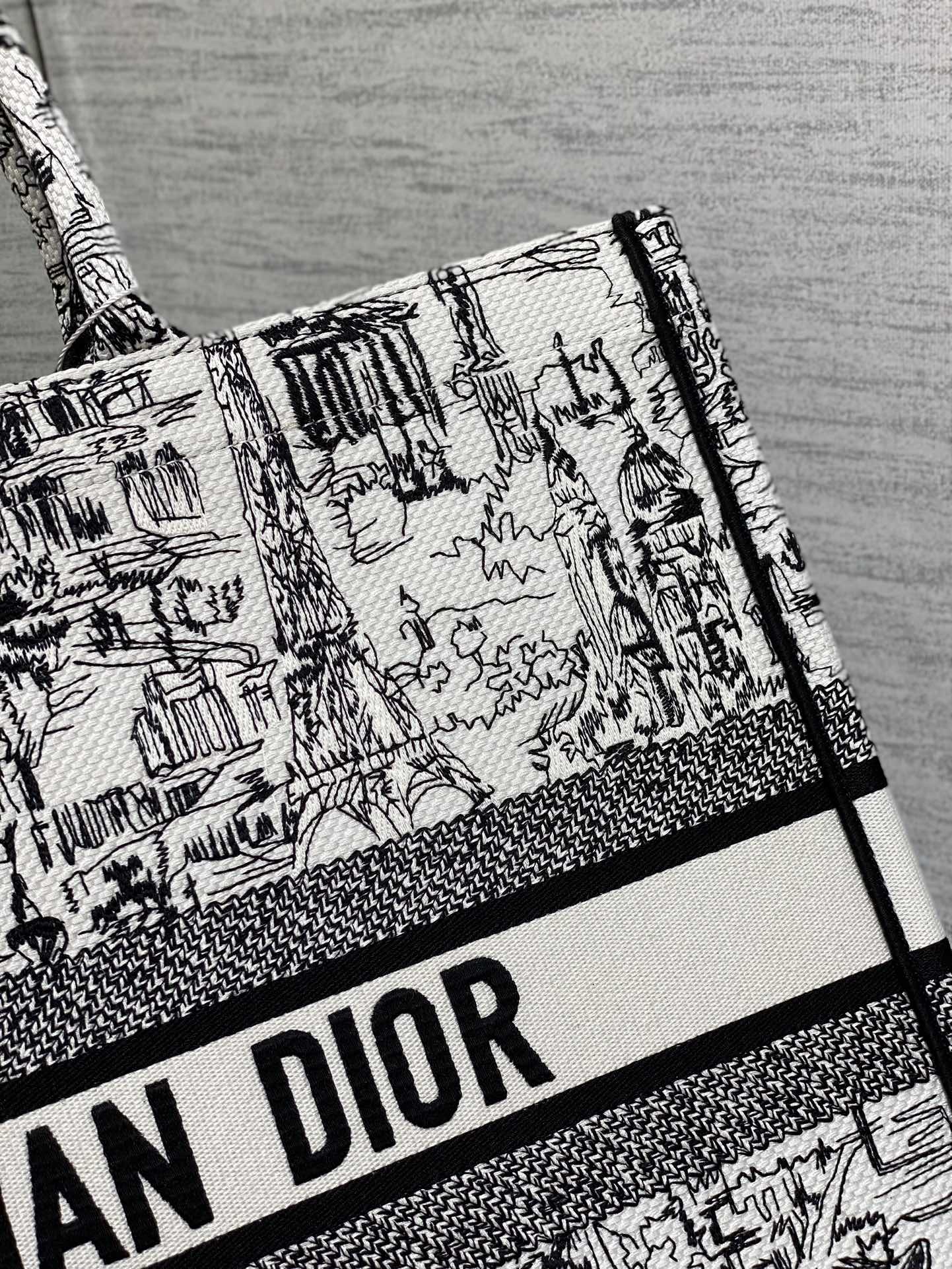 Christian Dior Book Tote Black and White Landscape Embroidery Handbag