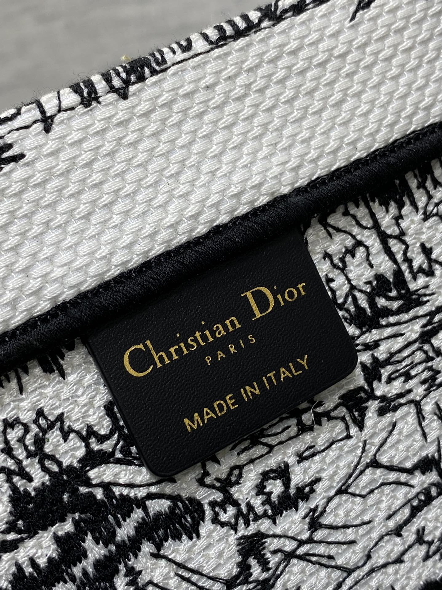 Christian Dior Book Tote Bag - White and Black Plan de Paris Embroidery