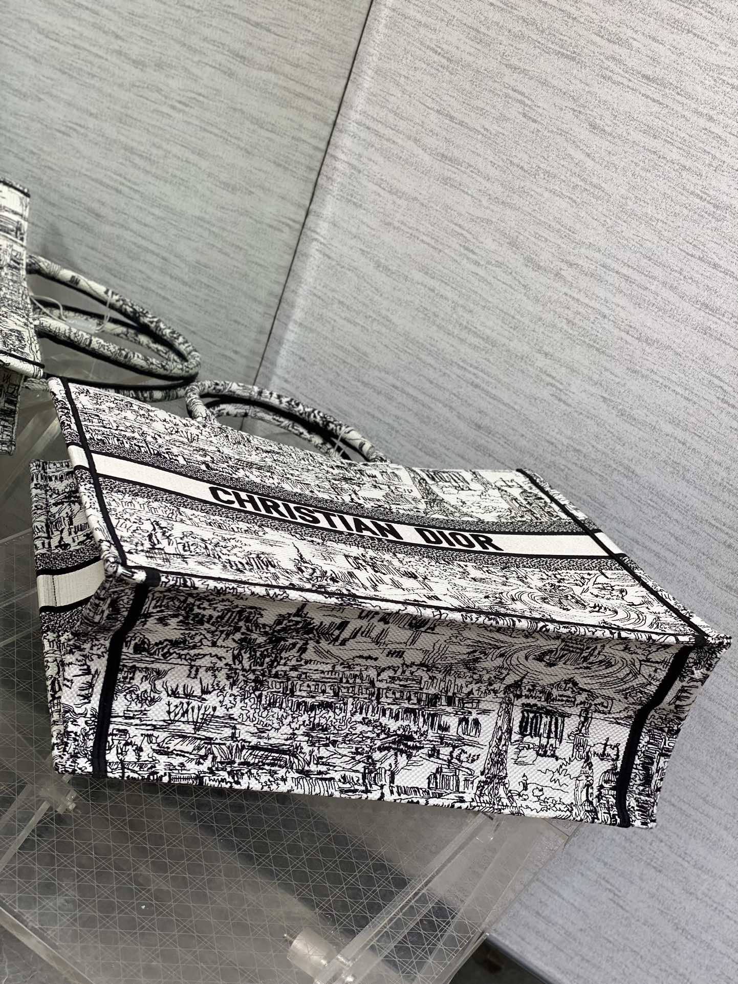 Christian Dior Book Tote Black and White Landscape Embroidery Handbag