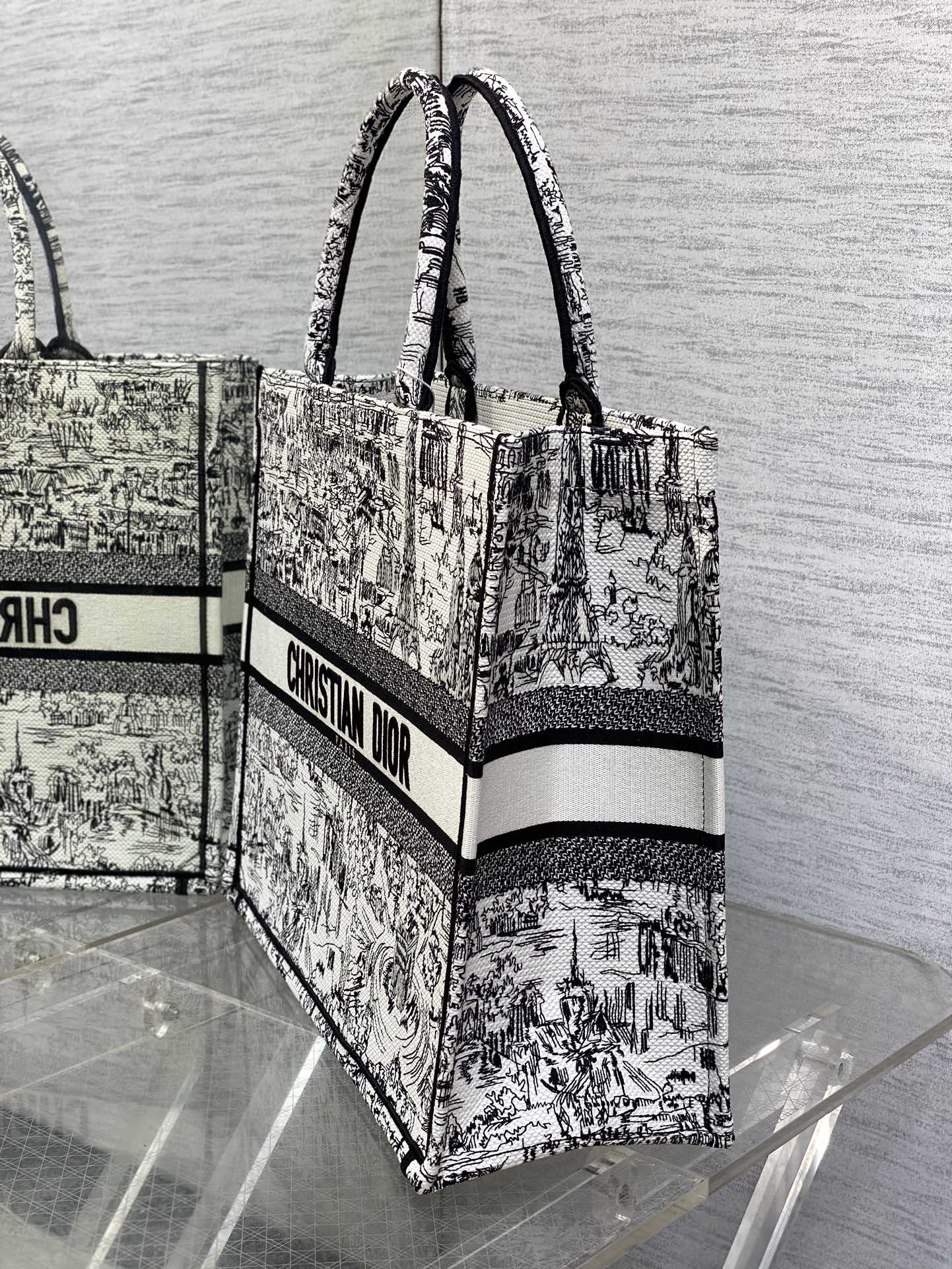 Christian Dior Book Tote Bag - White and Black Plan de Paris Embroidery