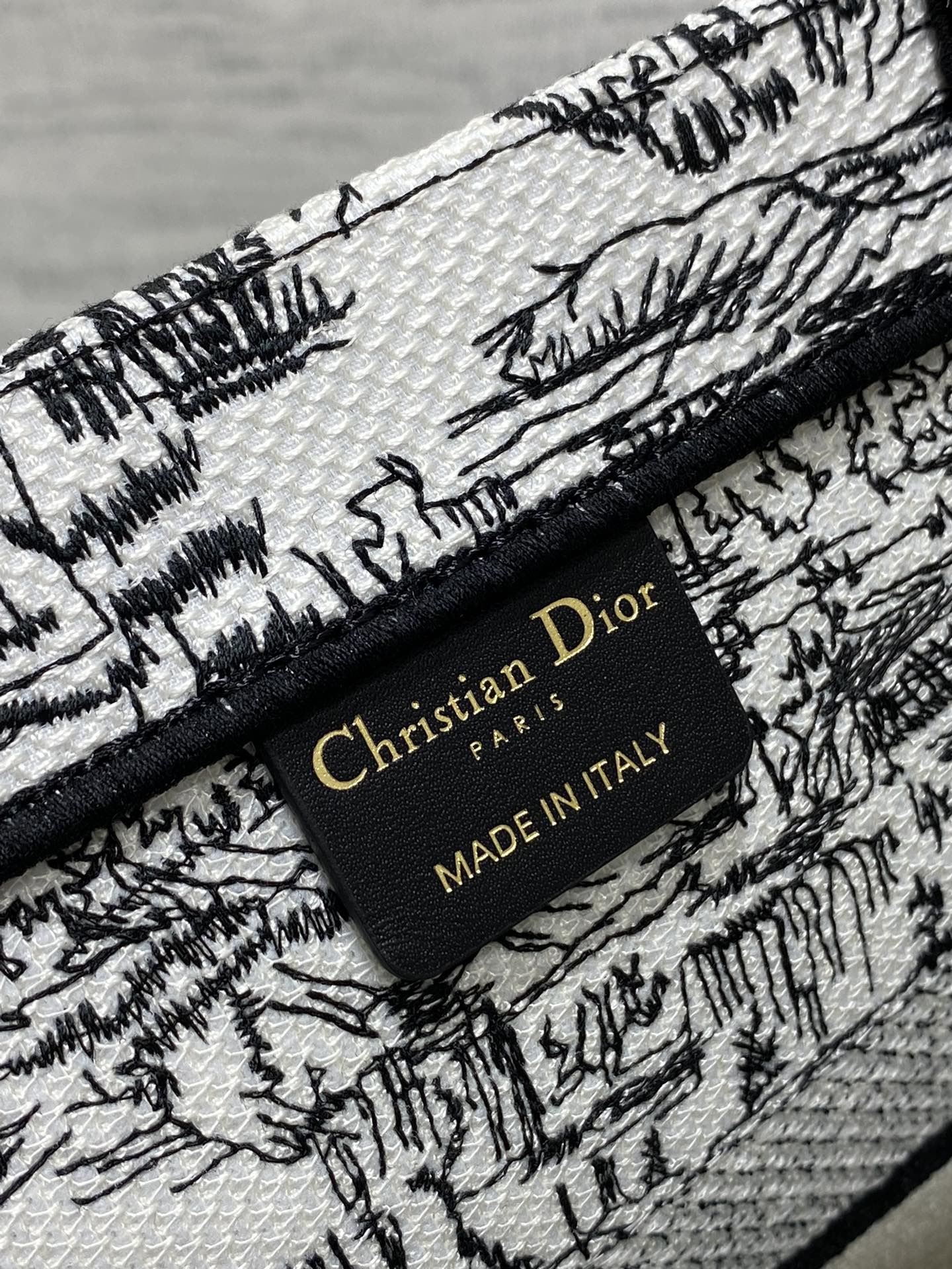 Christian Dior Medium Book Tote Plan de Paris Embroidery